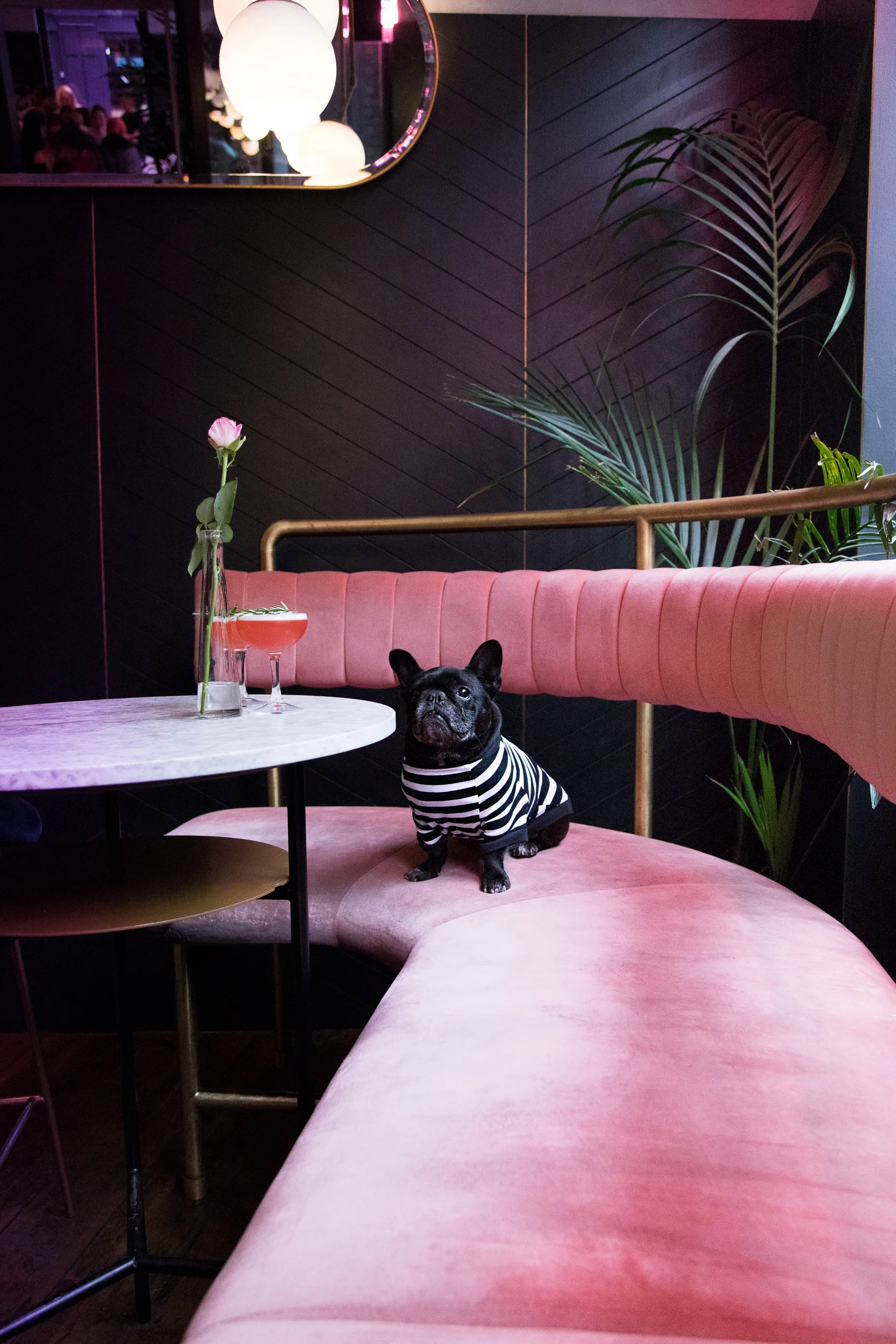ThePetAgency-LaunchParty-RachelOates-1.jpg