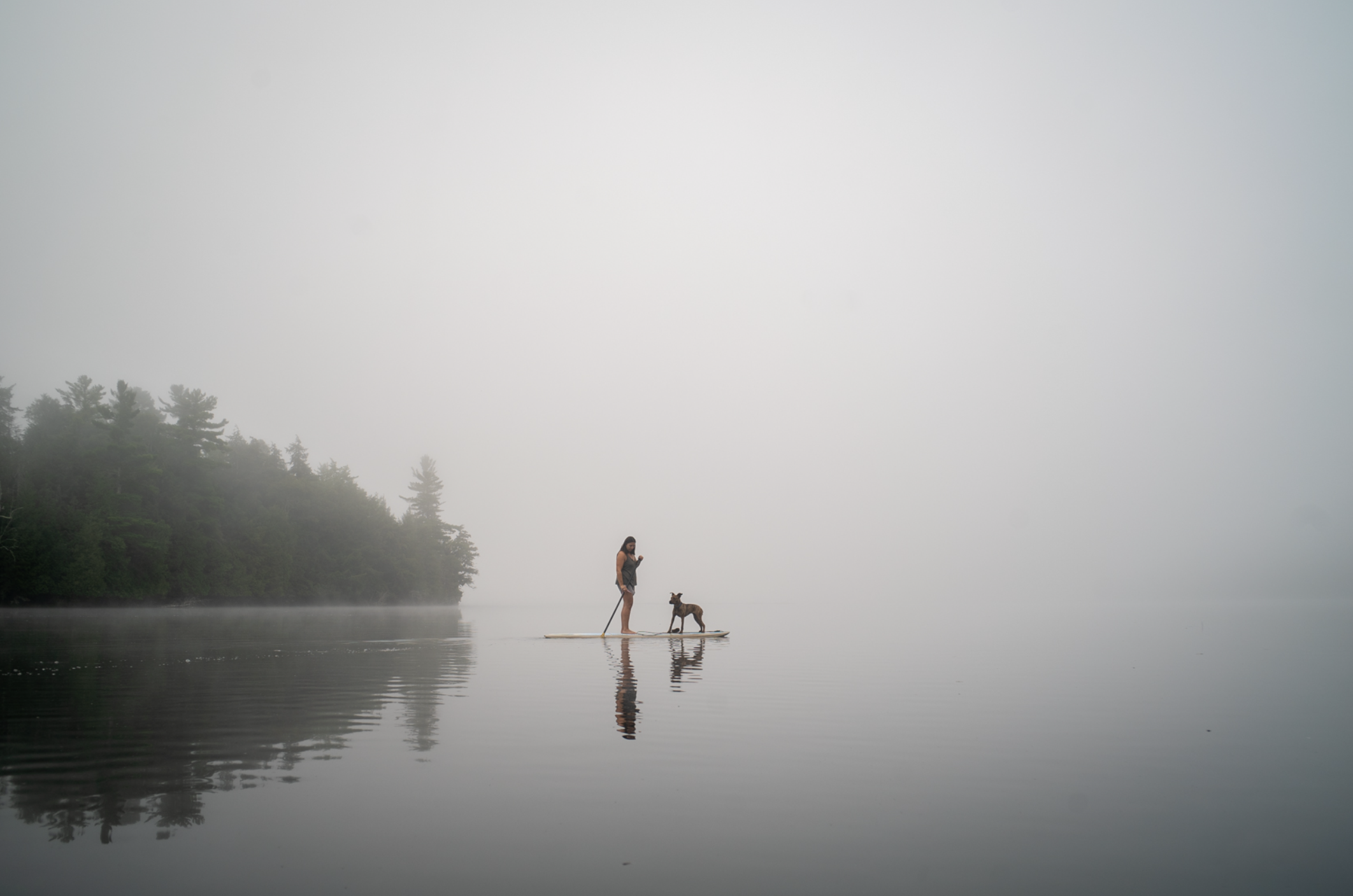 Screenshot 2026-03-26 at 5.27.29 PM.png