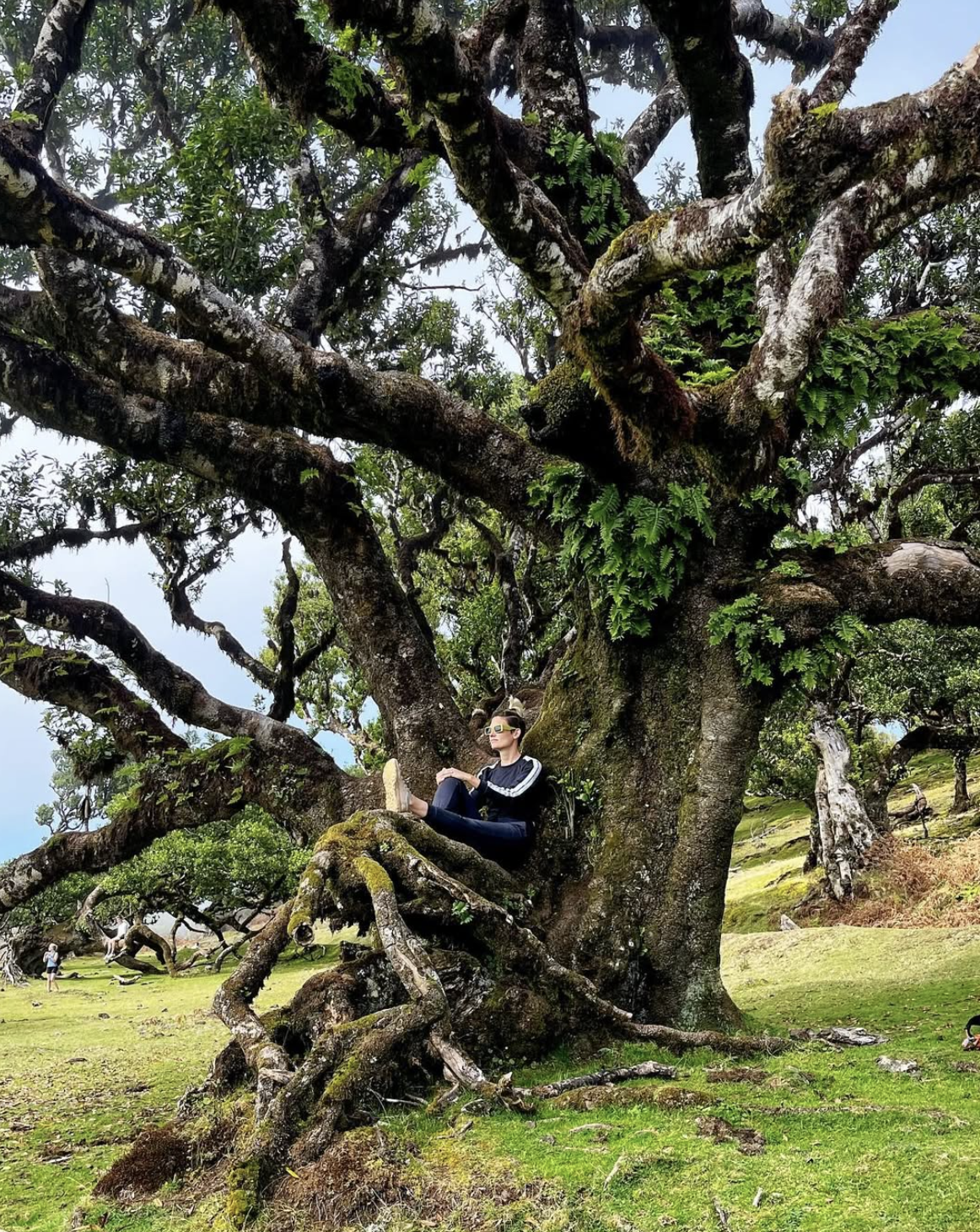 Screenshot 2026-04-03 at 11.18.09 AM.png