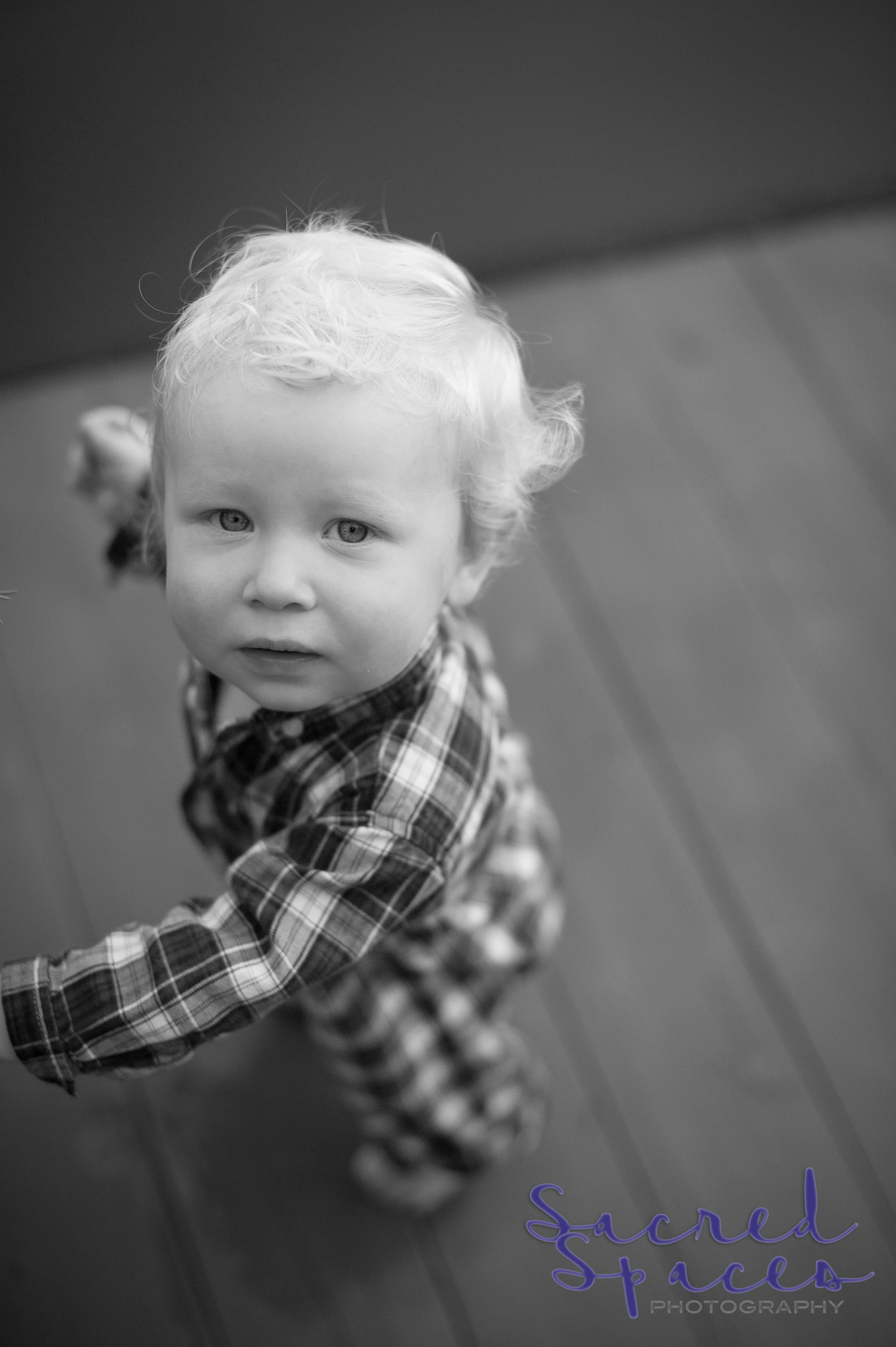 BW7_6729-2.jpg