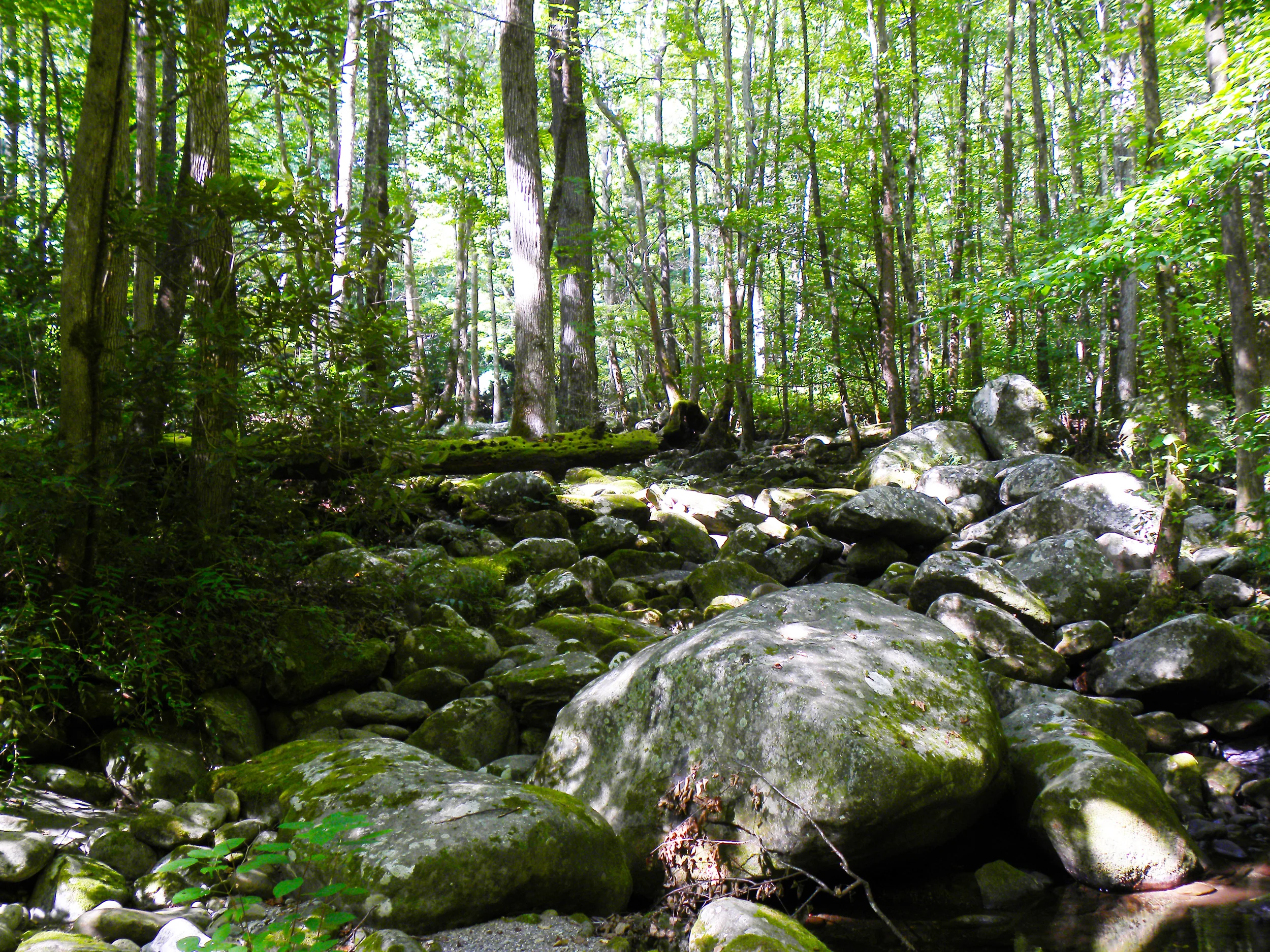 DSCN6381.jpg