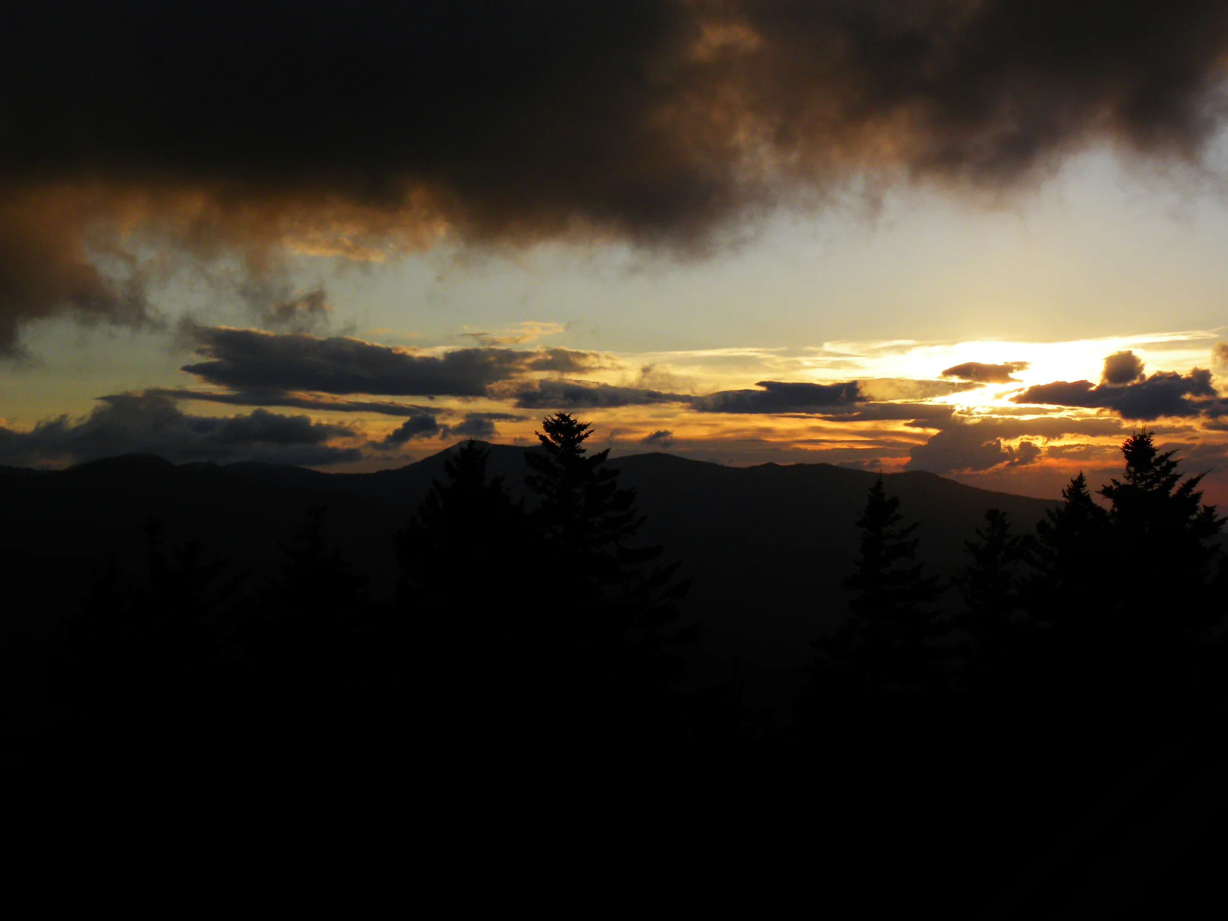 DSCN6400.jpg