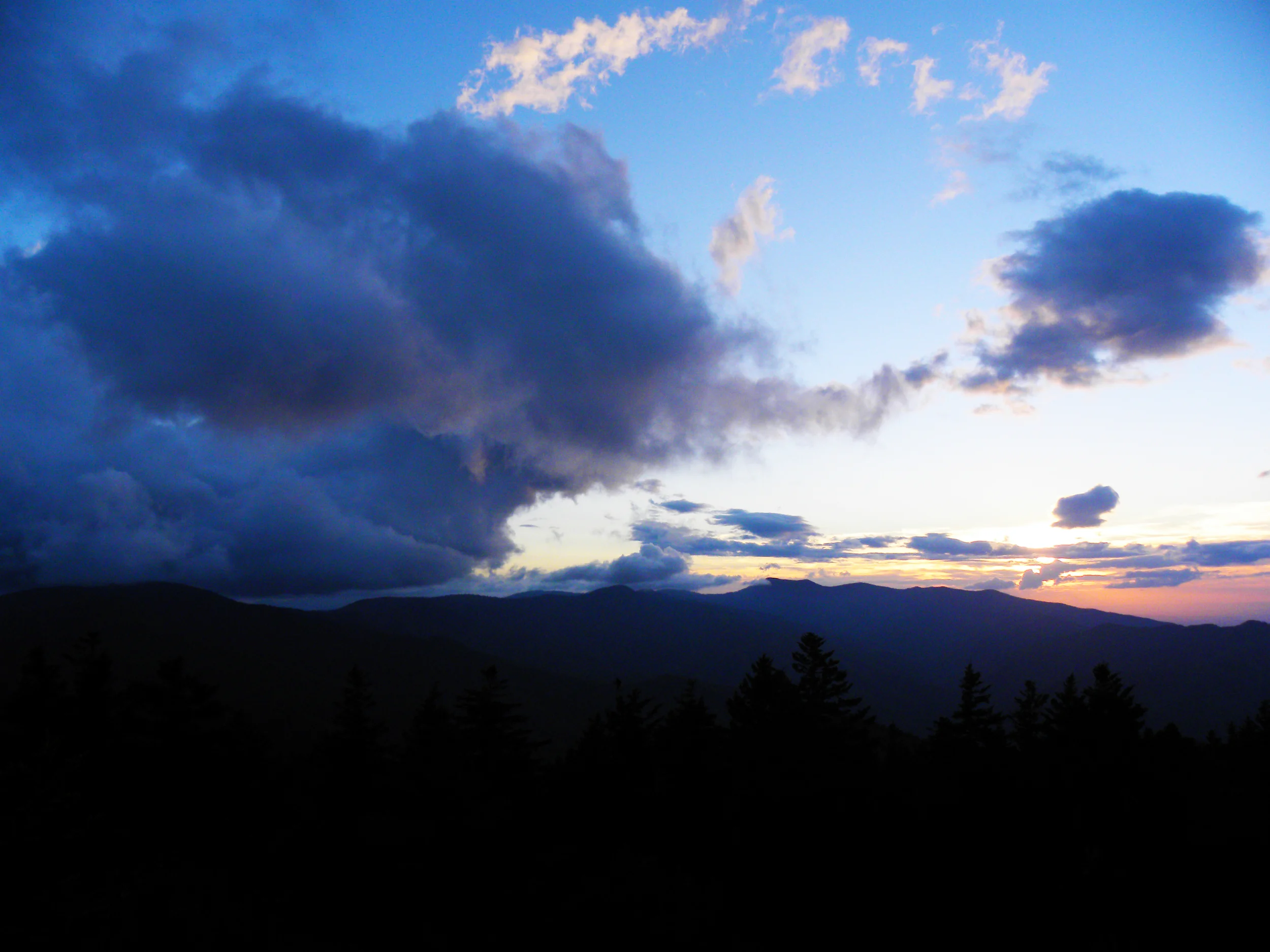 DSCN6412.jpg