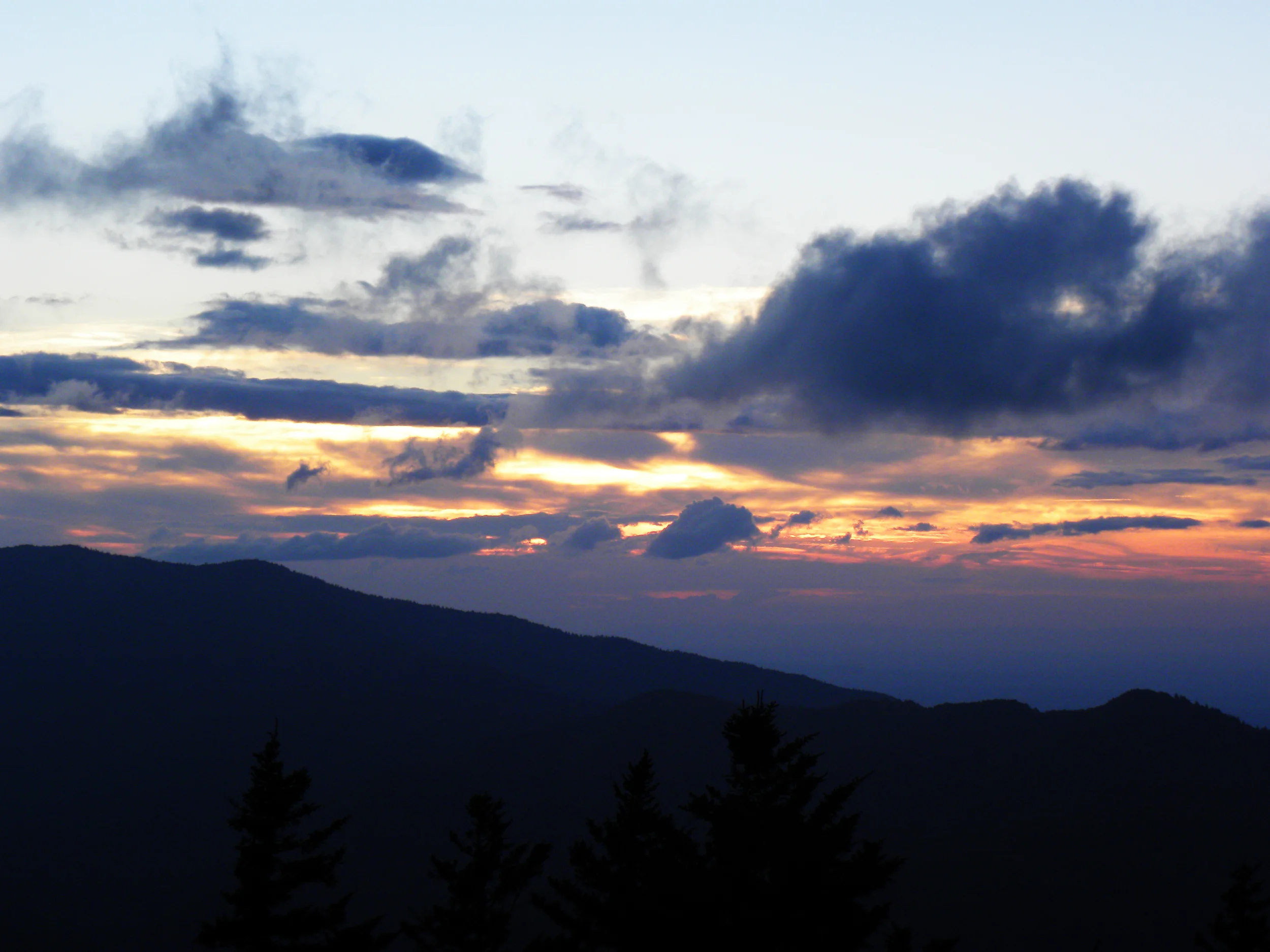 DSCN6418.jpg