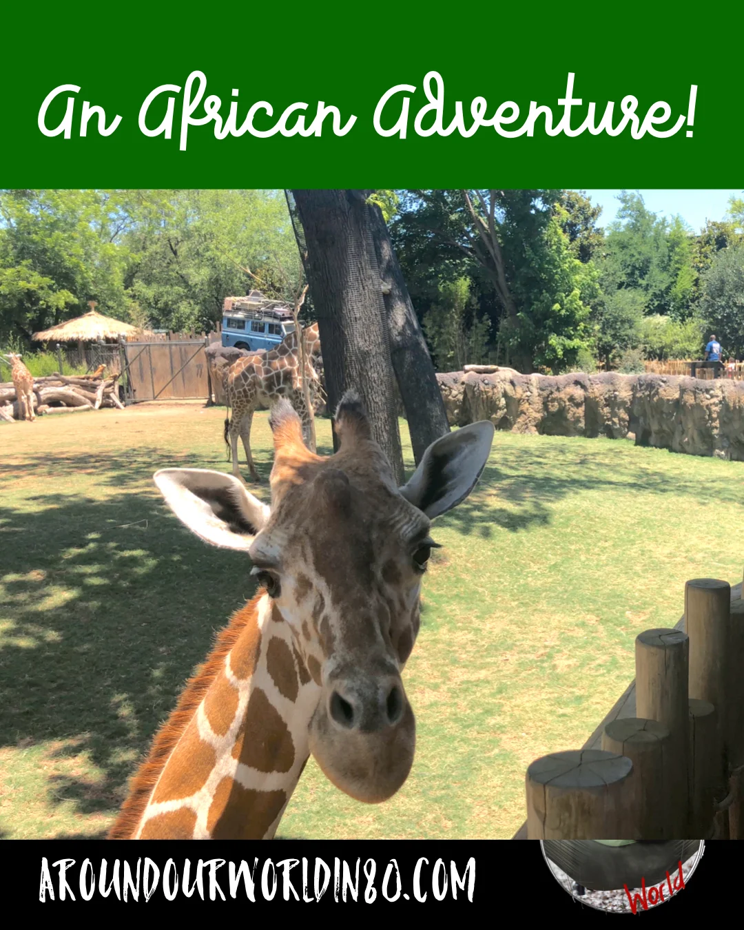 An African Adventure!