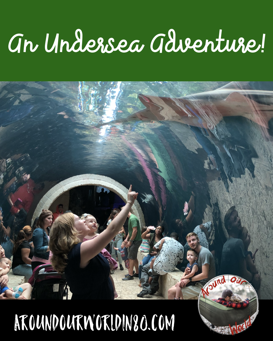 An Undersea Adventure!