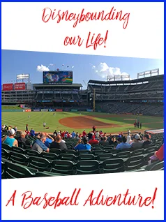 A Baseball Adventure!