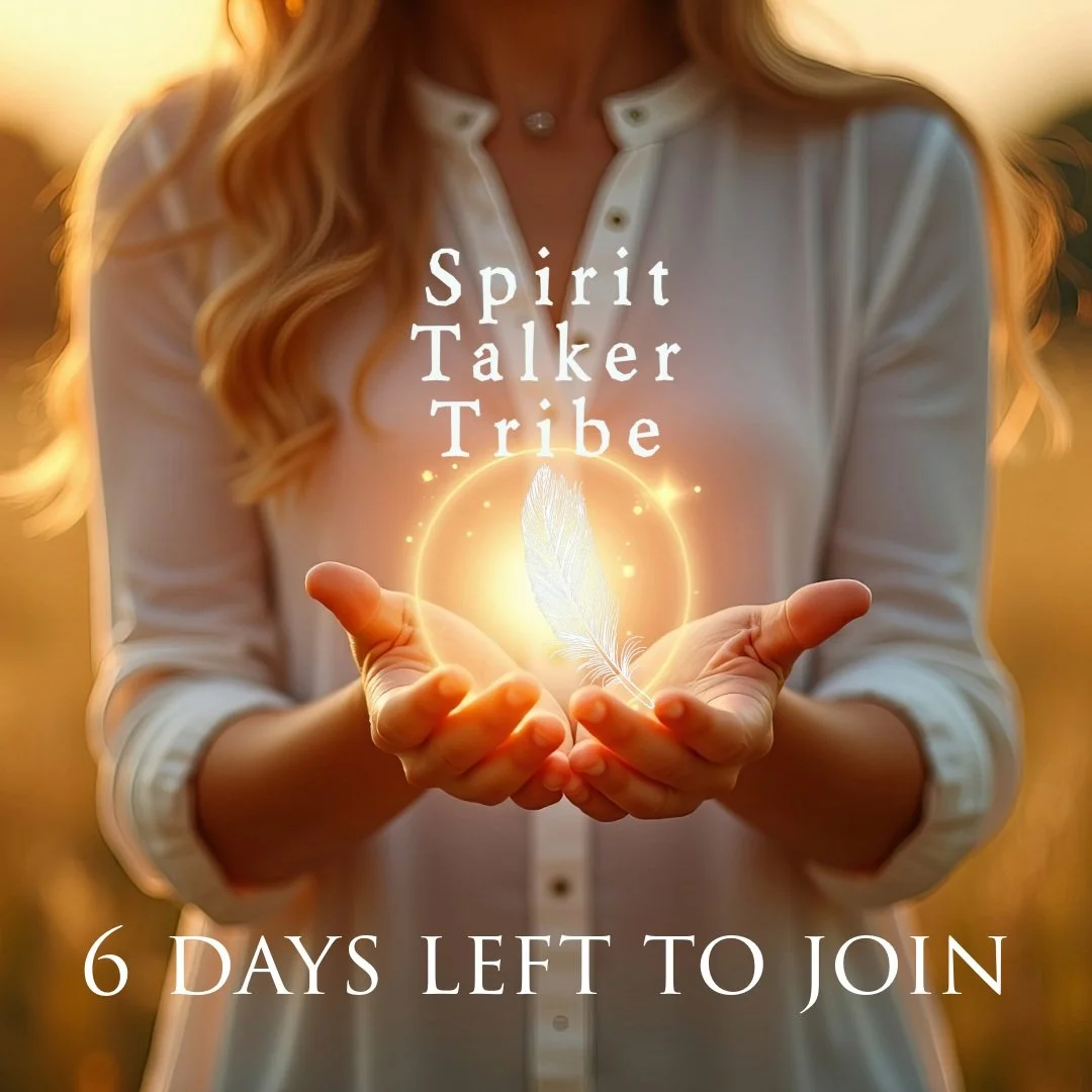 There are now only 6 DAYS LEFT to register for Spirit Talker Tribe 2026&ndash;2027! ❤️🪶

If you&rsquo;ve been thinking about joining us this year, now is the time.

Registration closes on October 31st, and I would love to welcome you into the Spirit