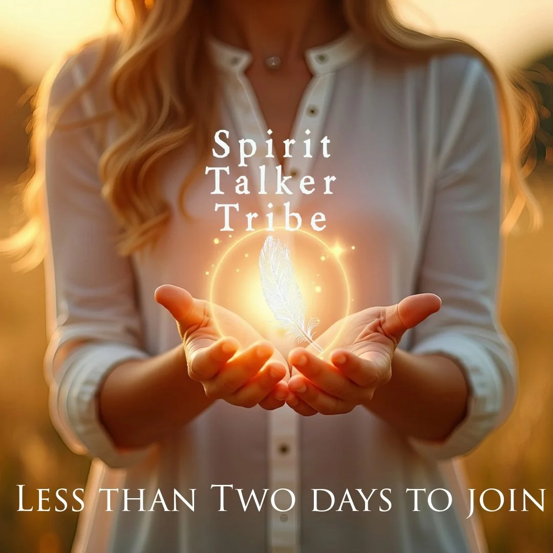 Registration for Spirit Talker Tribe 2026&ndash;2027 closes October 31st!

If you&rsquo;ve been thinking about joining us, this is your final opportunity to become part of this year&rsquo;s Spirit Talker Tribe journey.

We&rsquo;ll be exploring spiri
