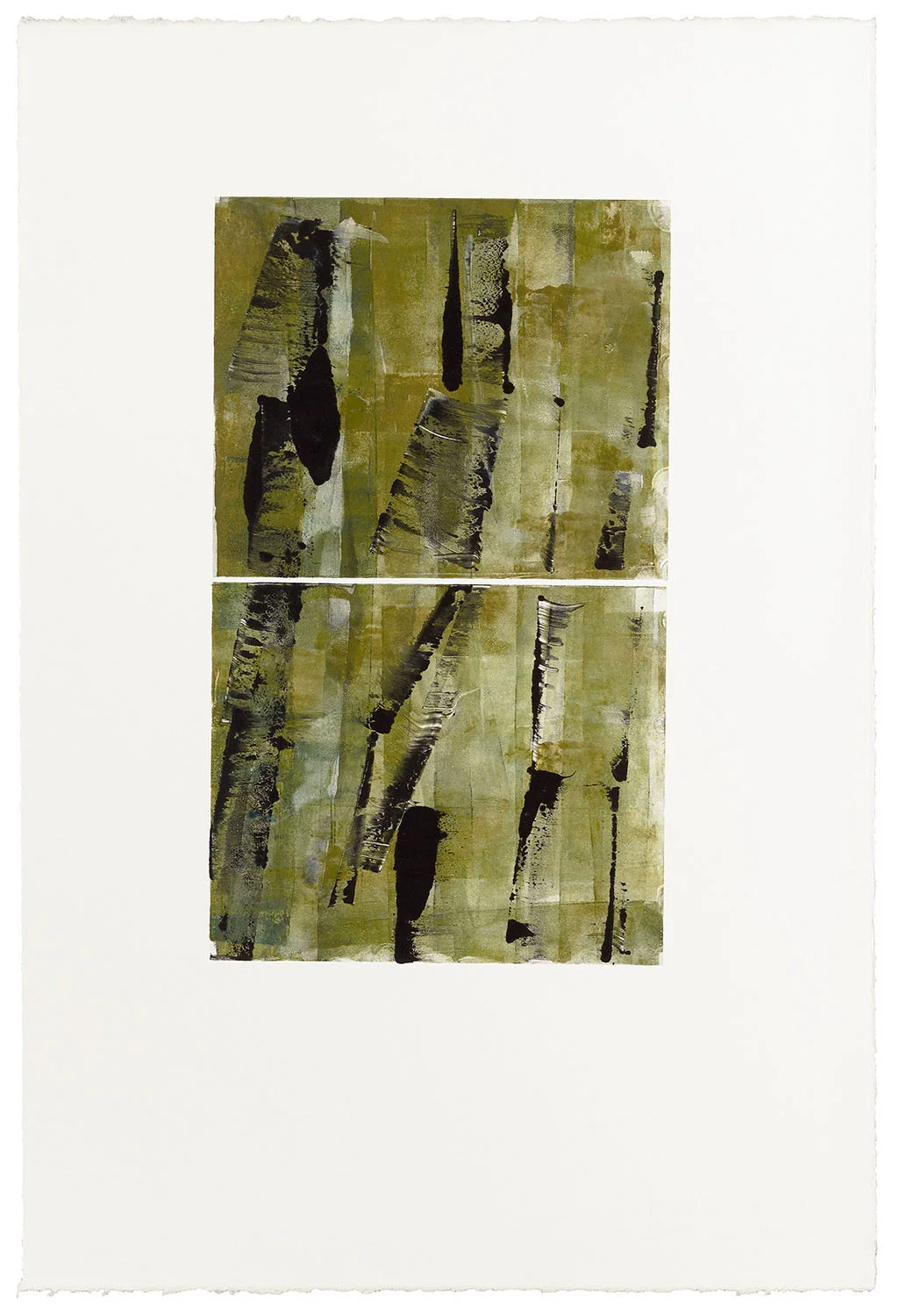 BAMBOO