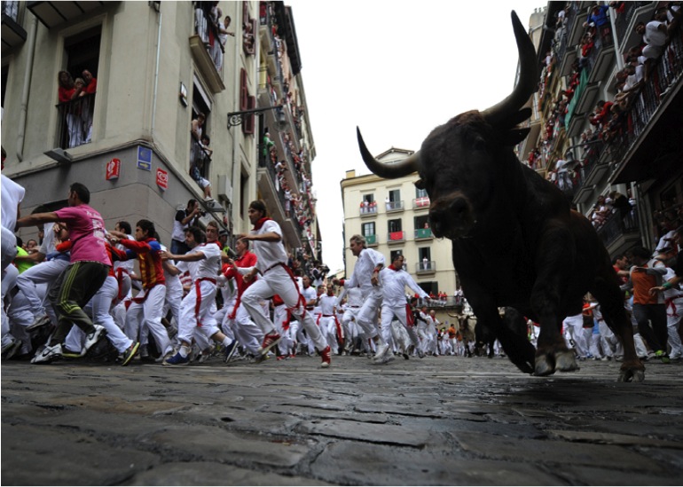 bull.jpg
