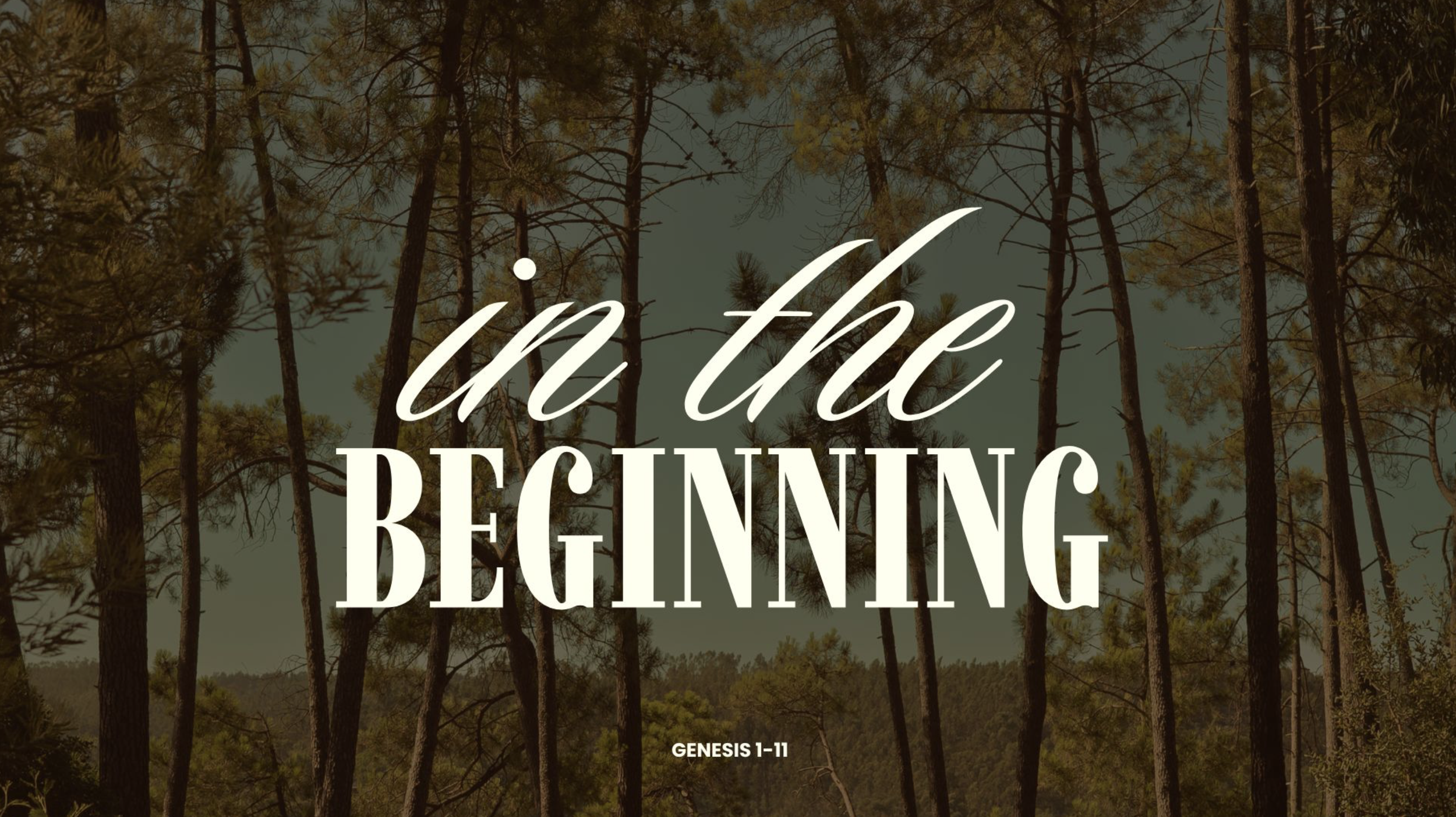 Screenshot 2026-03-08 at 1.03.53 PM.png