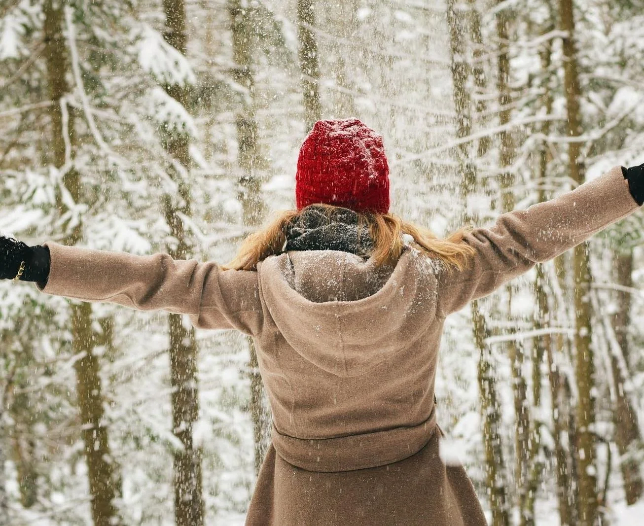 世界に誇るパウダースノー ニセコ。
ラグジュアリー ウィンターリゾート ニセコ
宿泊は雪蔭。

#setsuin #setsuinniseko #setsuinhanazono #setsuinhotel #setsuinjapan #雪蔭 #雪蔭ニセコ #雪蔭setsuin #雪蔭スカンジナビアンモダン #ski #skiresort #winter #snow #sniwboarding #red #redhat