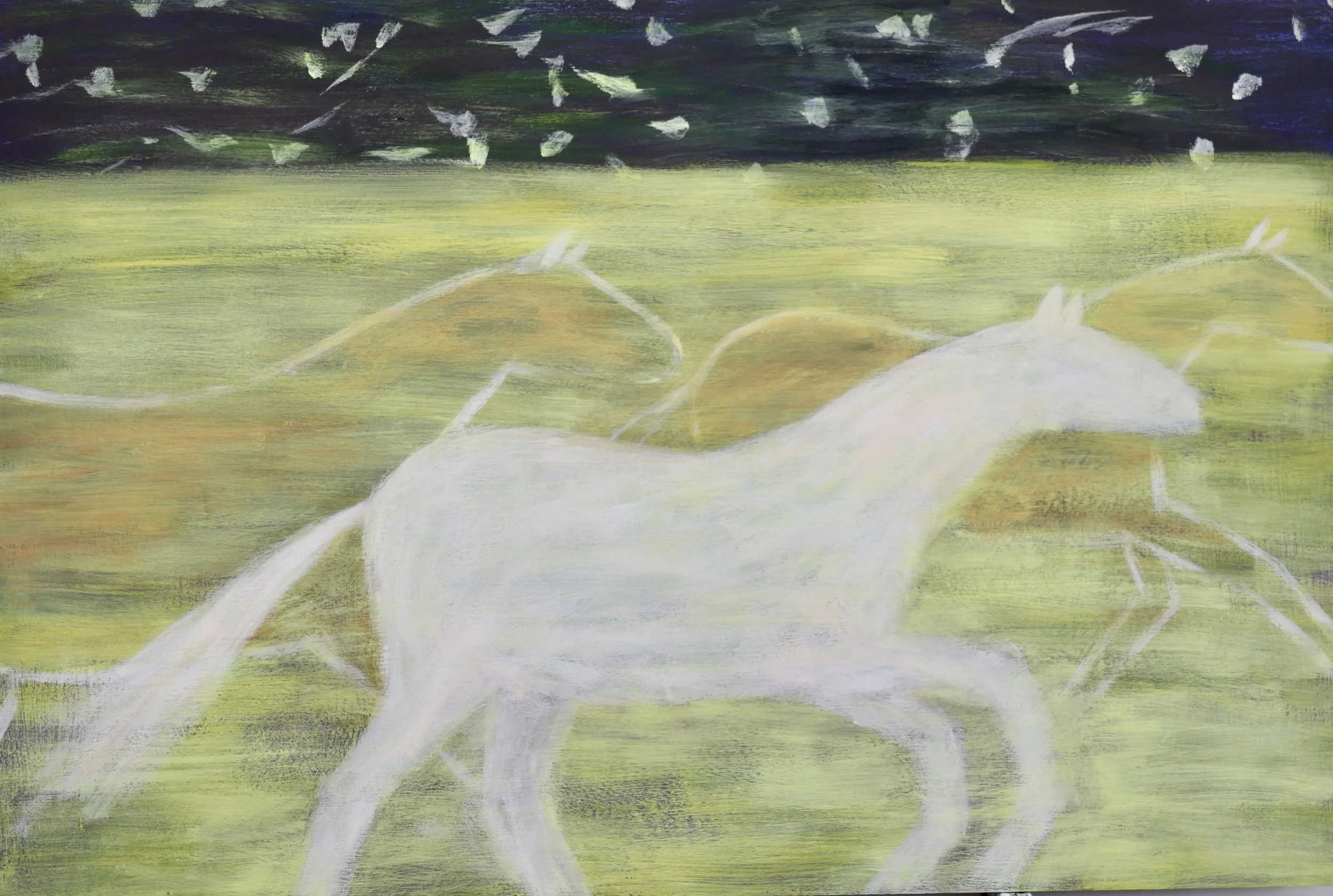 Palomino Run