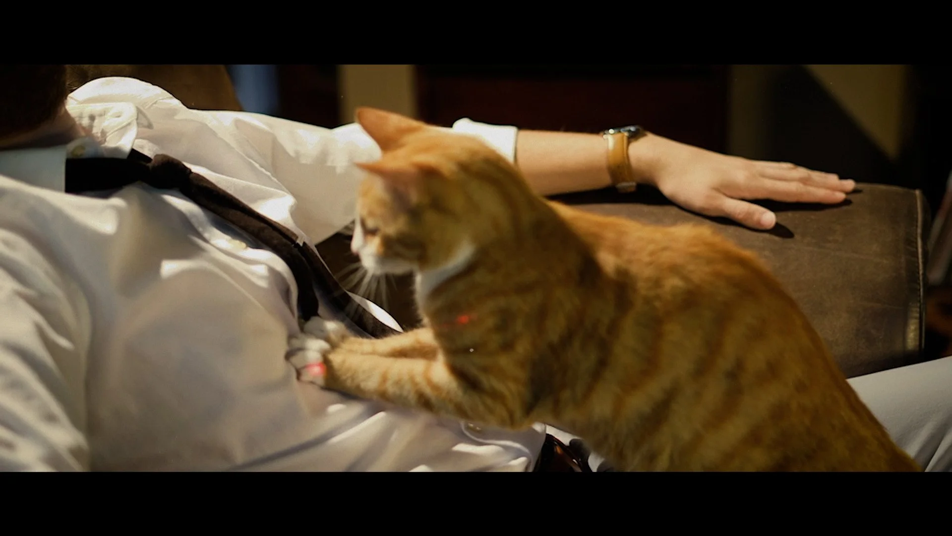 KITMAN