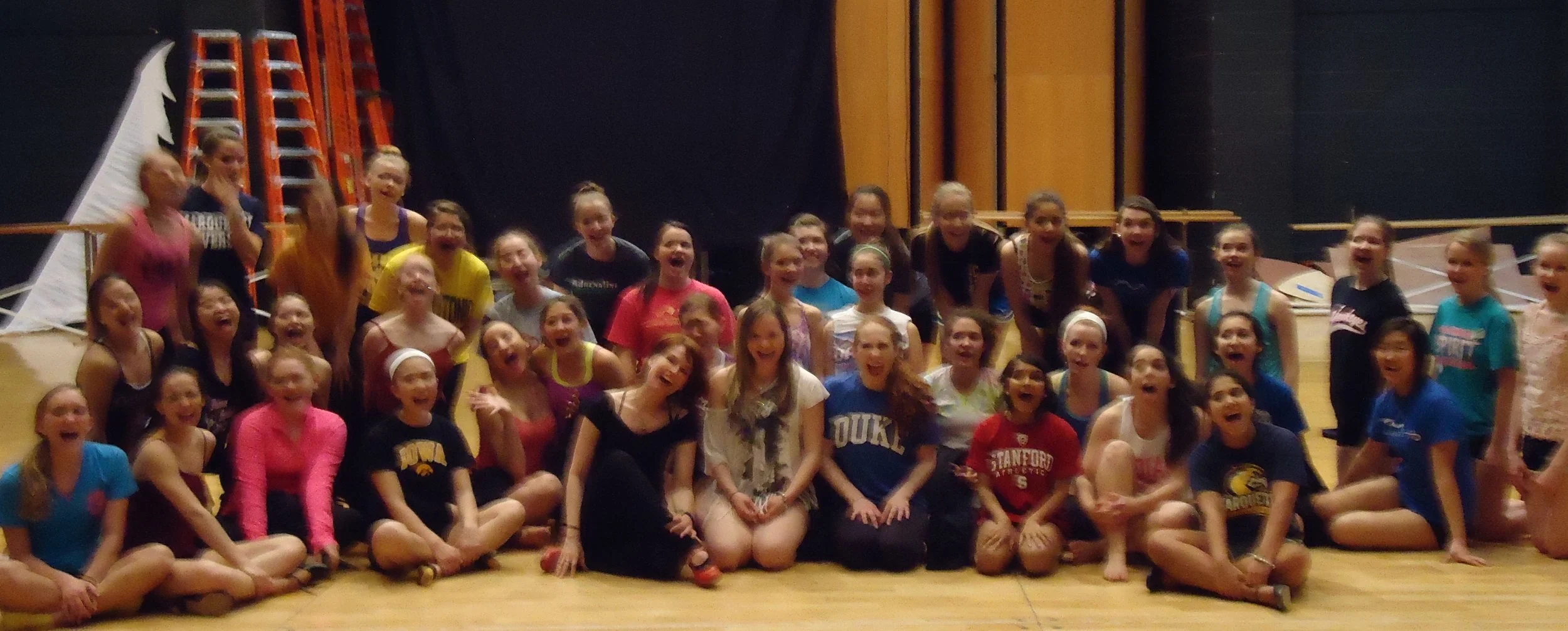 Flamenco Chicago artistic director Rosetta Magdalen (front center in black) with students at Vernon Hills High School, where she served as artist-in-residence in 2013. Rosetta has taught the basics of flamenco dance to students from age 6 through university, and is skilled at adapting basic flamenco movement to any age group. And, she can teach you to convey the beauty and power of flamenco to your students as well.