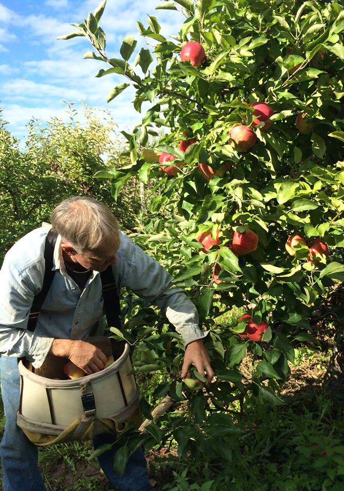 Rob Ten Eyck working on the Ten Eyck Orchard