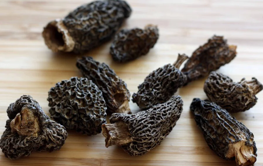 Dried Morel Mushrooms — Wild Foraged