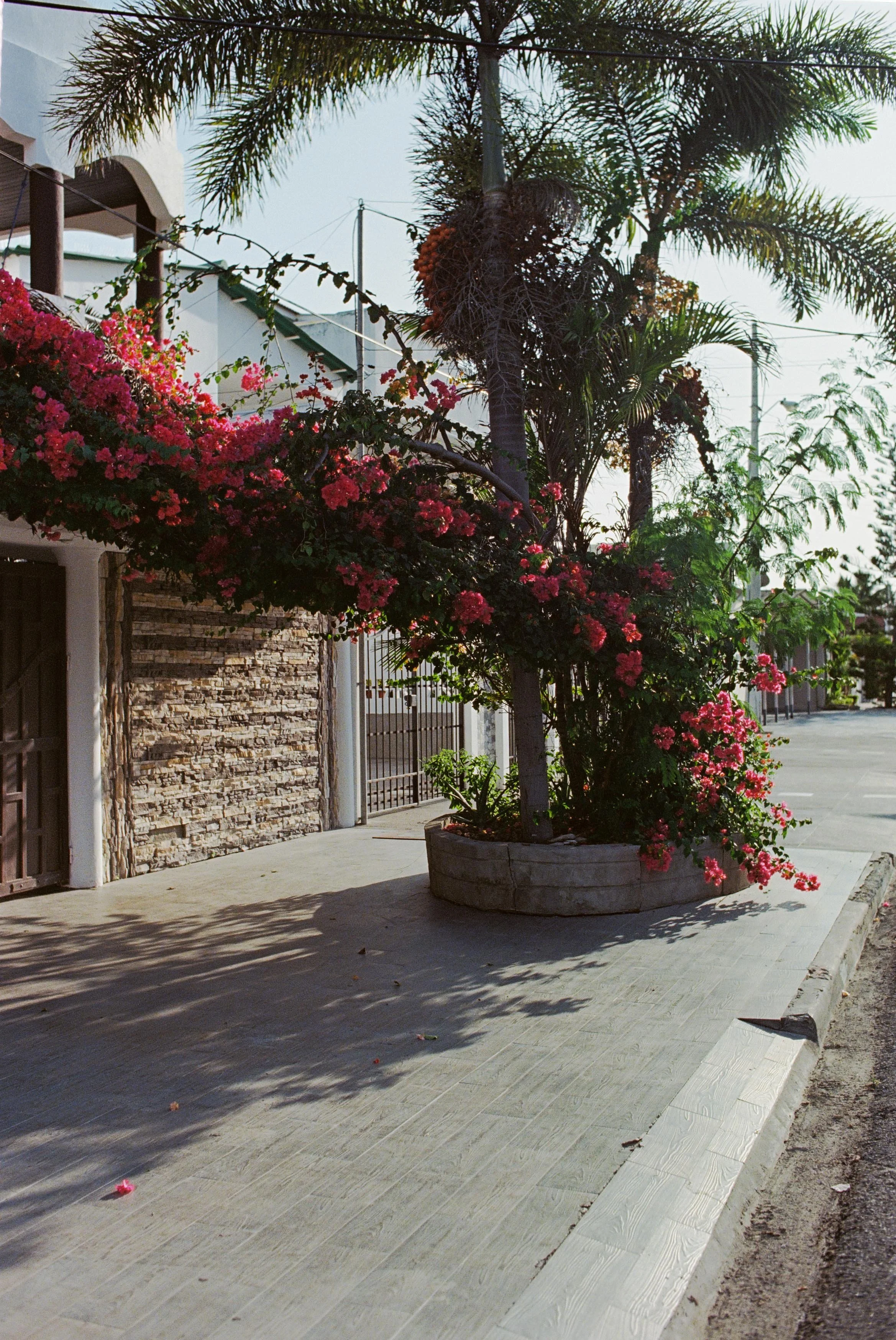 la casa del vecino II - ECU (8x10 Print size)