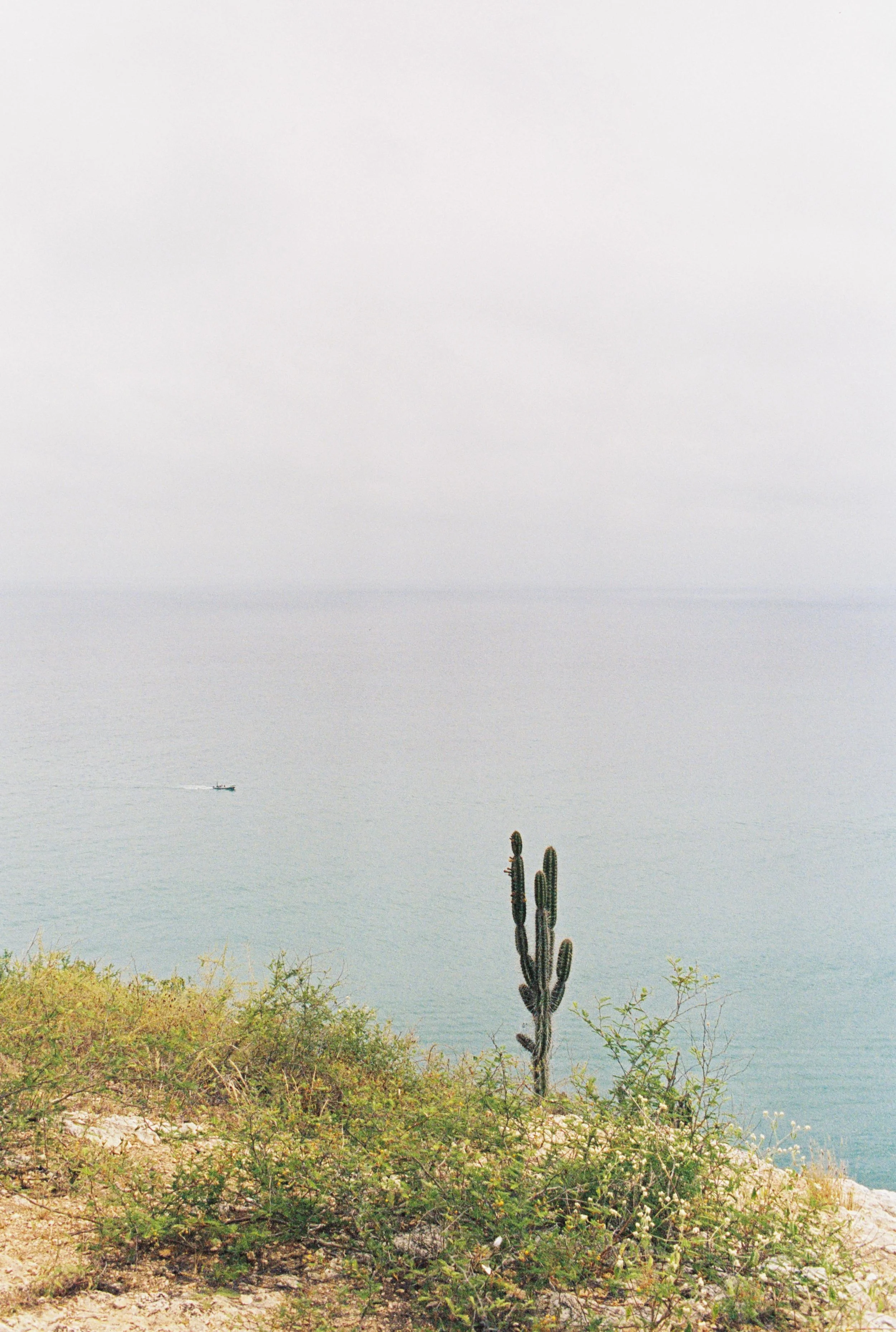 Fisherman - ECU (8x10 Print Size)