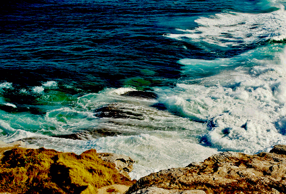 Amanda Austin / Landscape / Animation