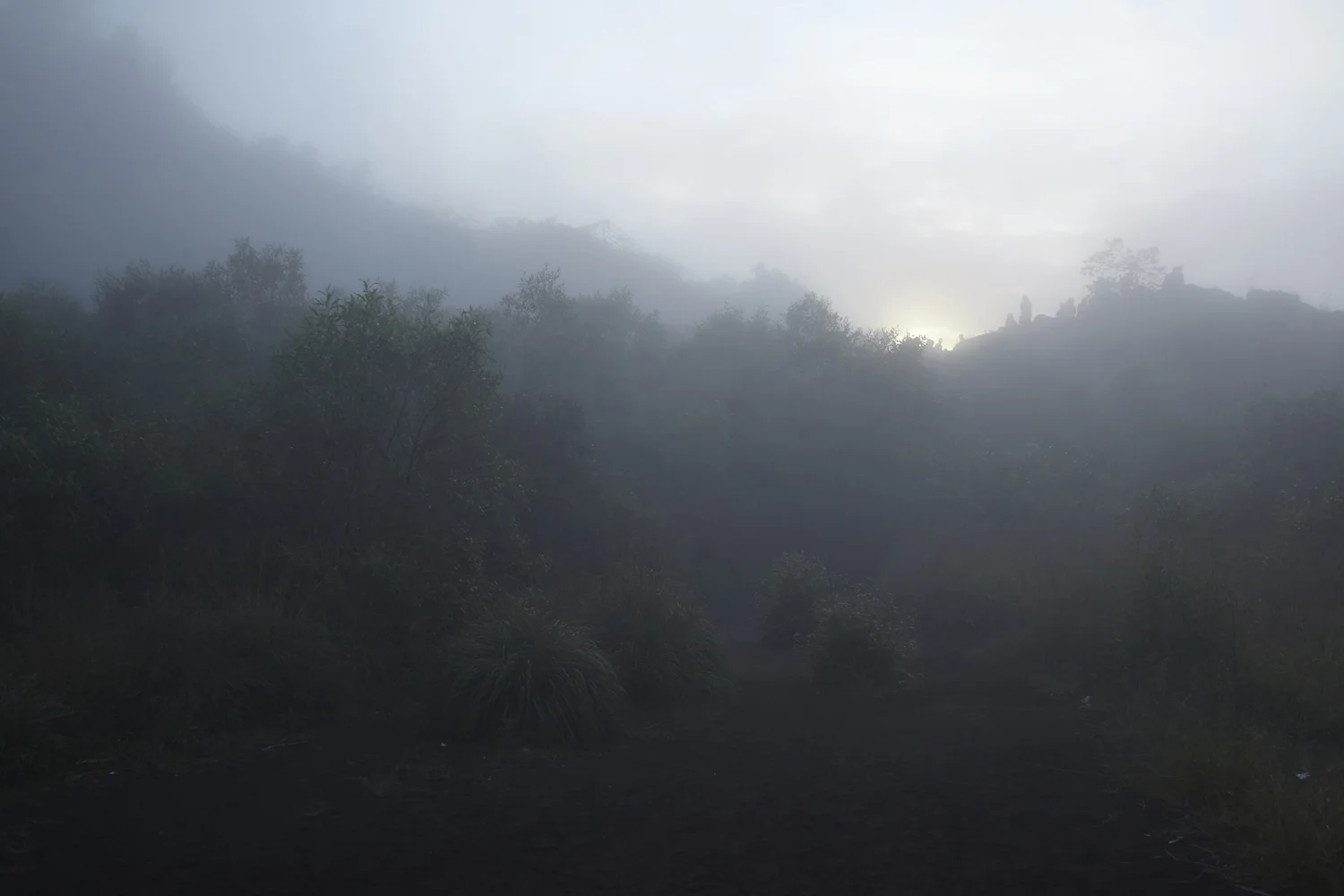 Amanda Austin / Landscape / Bali