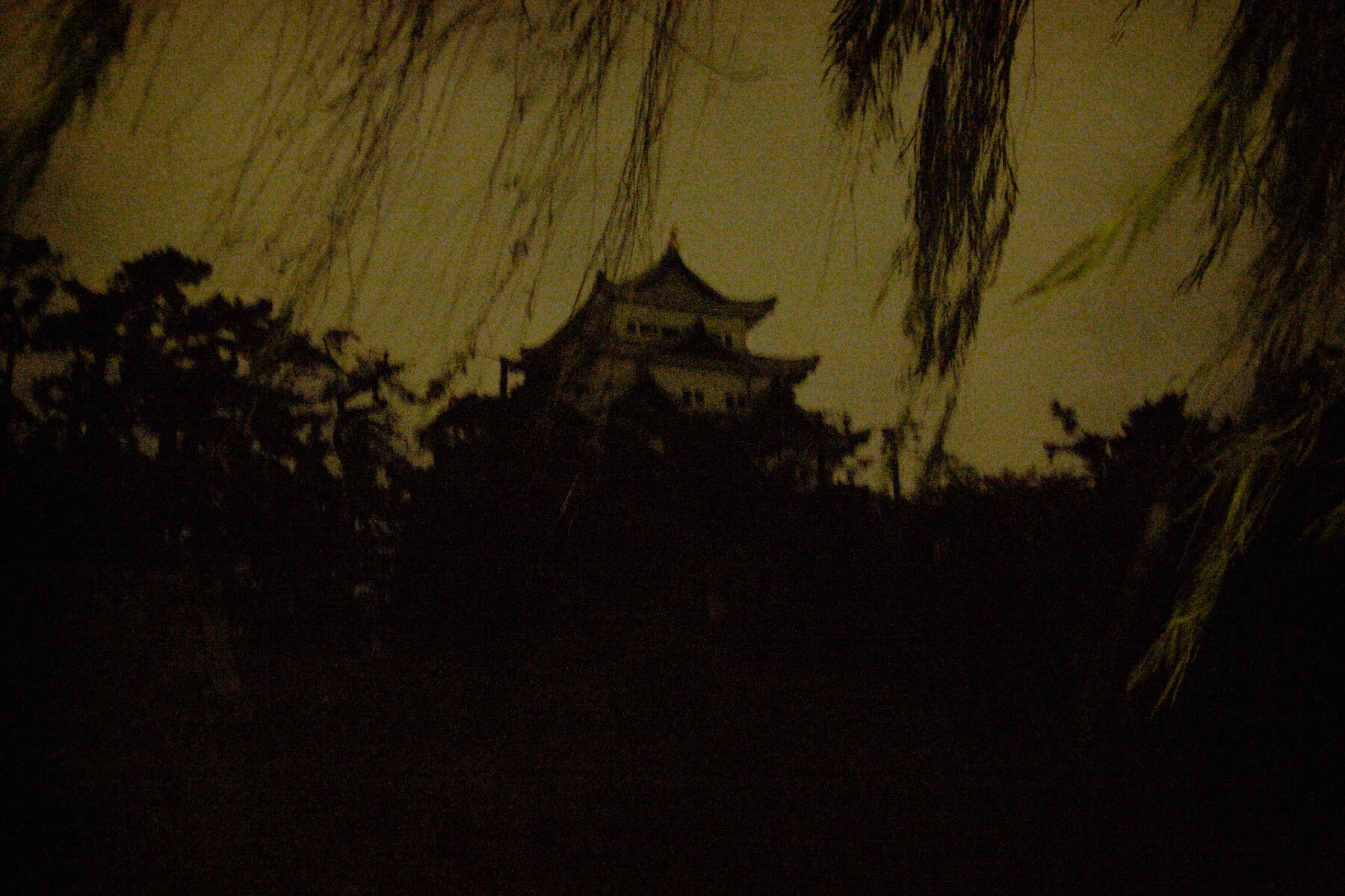 Amanda_Austin_Japan_129b.jpg