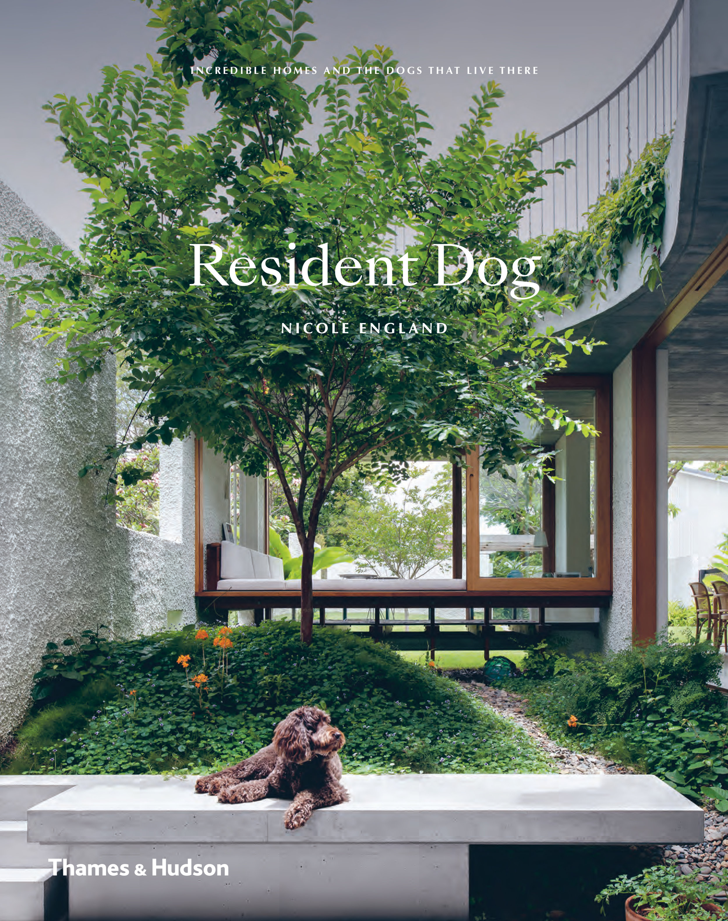 2018_Resident Dog_Cover.jpg