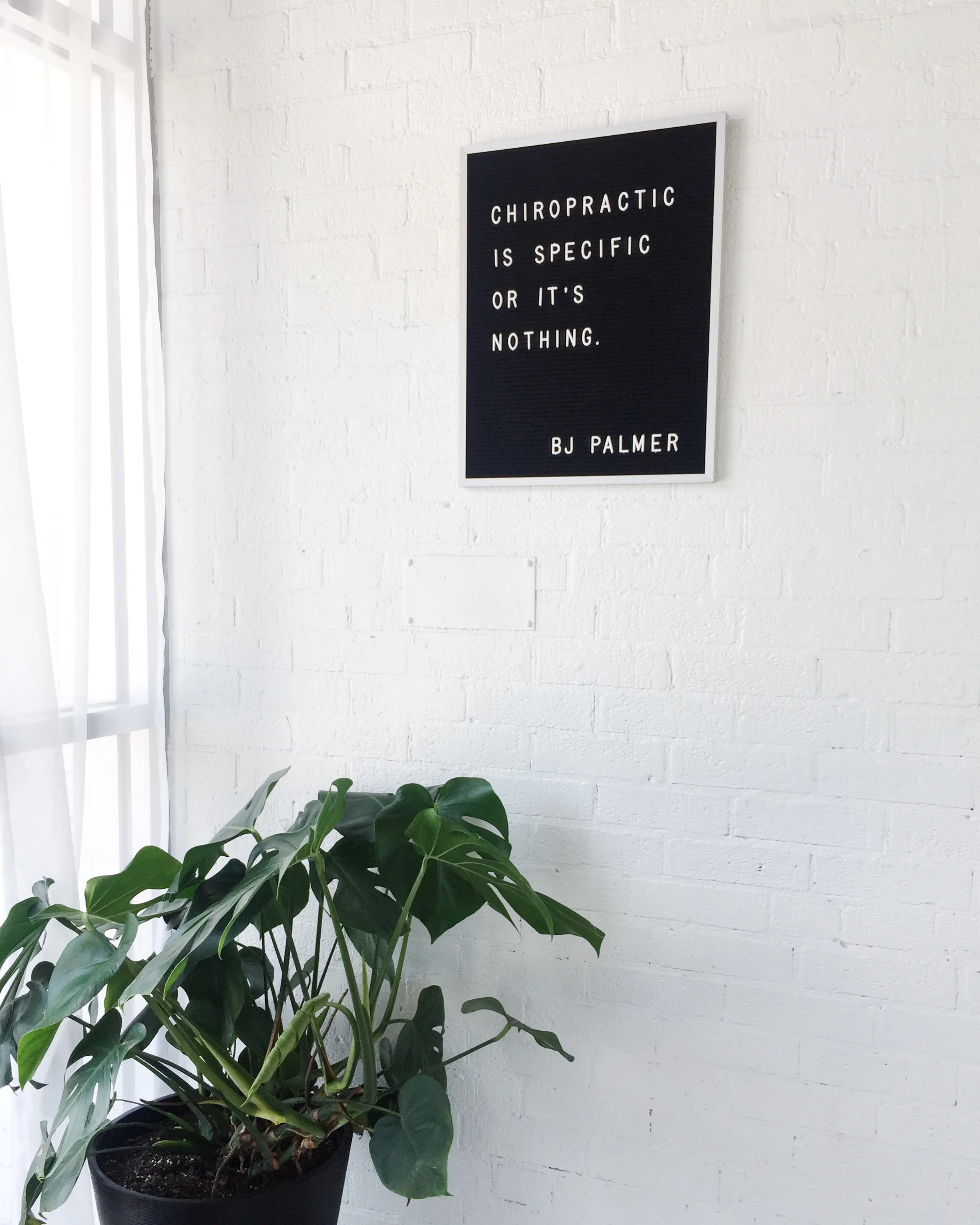 Chiropractic is Specific or it's Nothing.