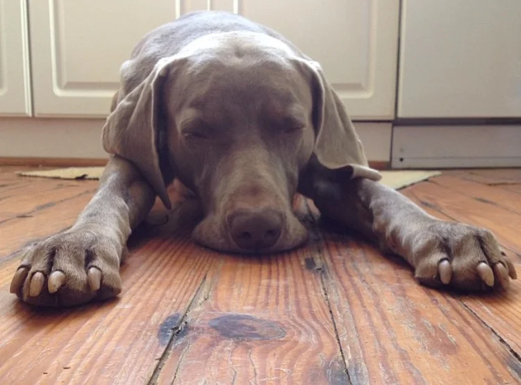 A month to be thankful