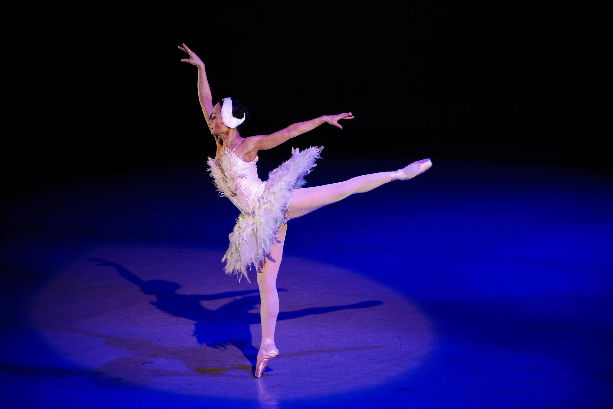 isa Macuja-Elizalde returns to the stage in the dramatic piece, Dying Swan . Photo by Jojo Mamangun