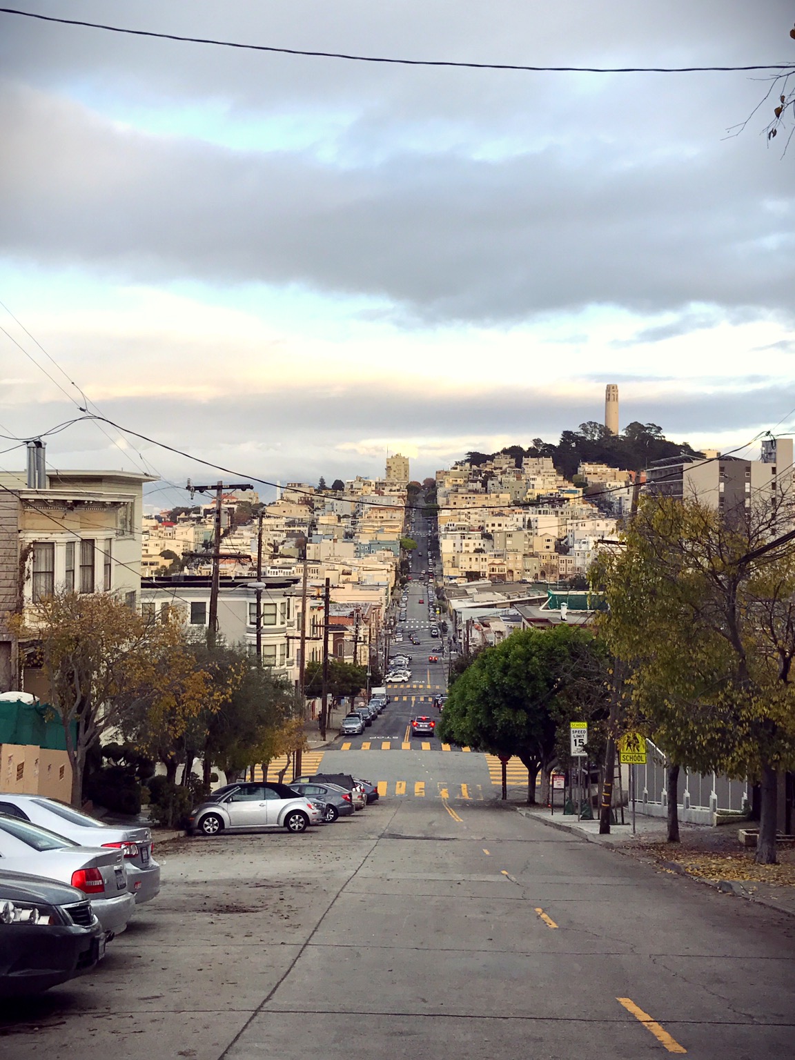  The view from Lombard Street. The streets of San Francisco are typically tilted and steep like this. 
