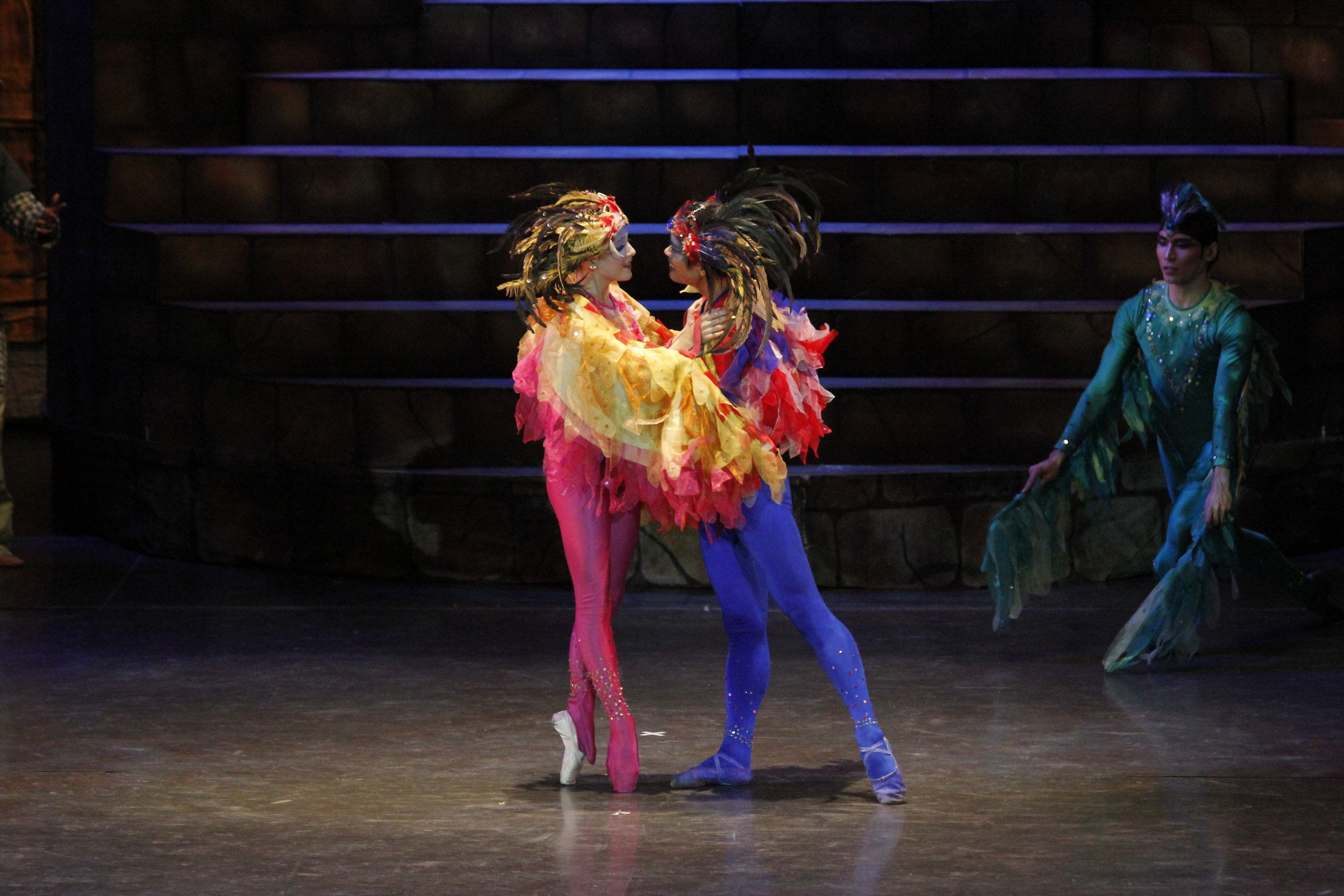 Winged ballets: Ang Prinsipe ng mga Ibon