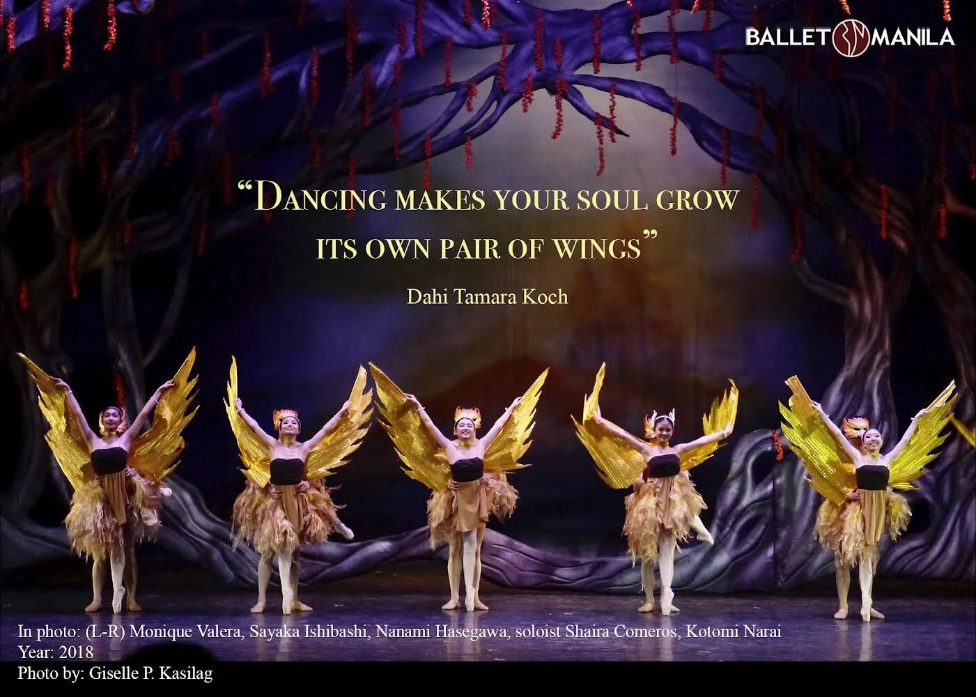 Talk about dance: Dahi Tamara Koch
