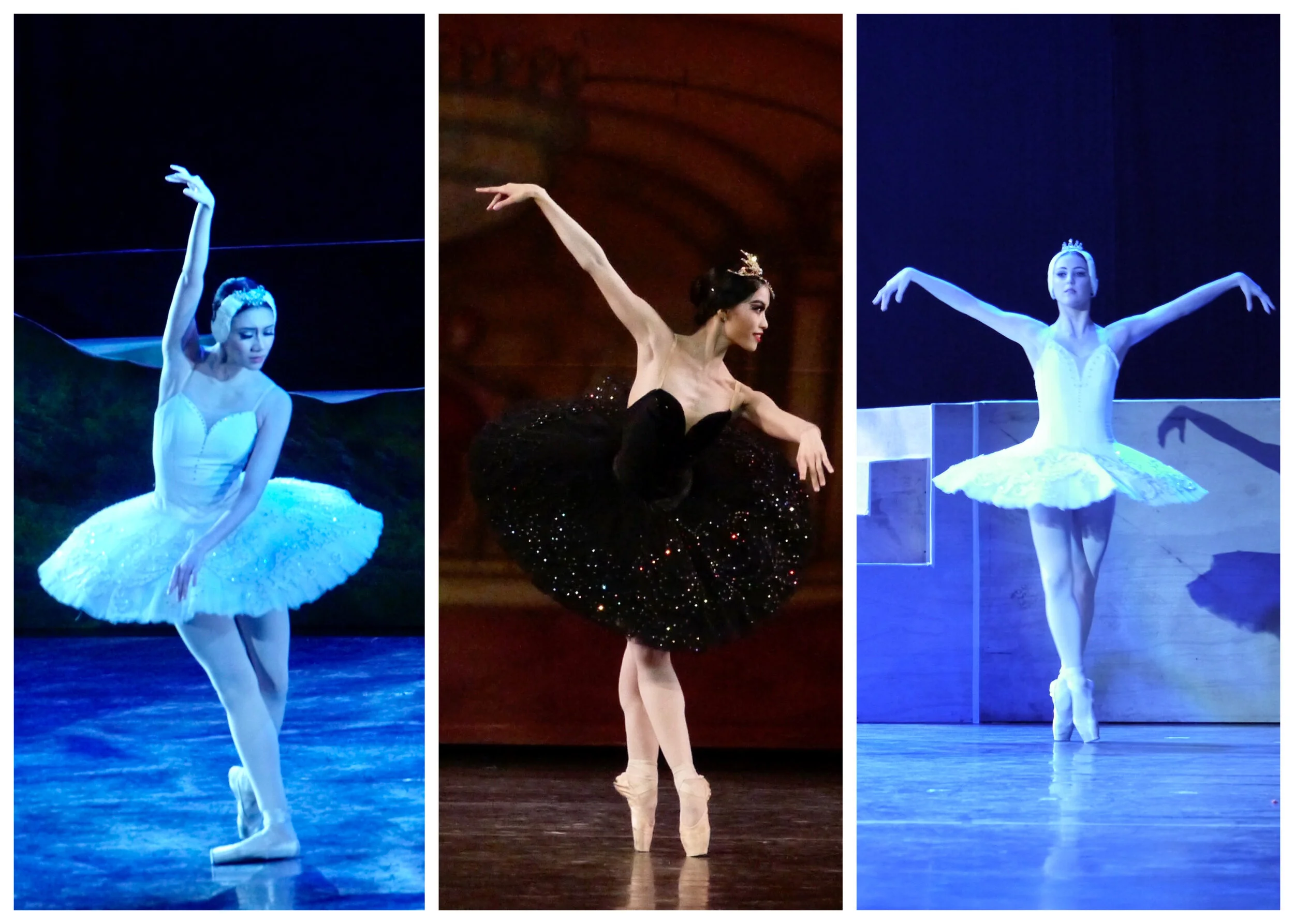 Ballet Manila Moments: The rise of the Swan Queens