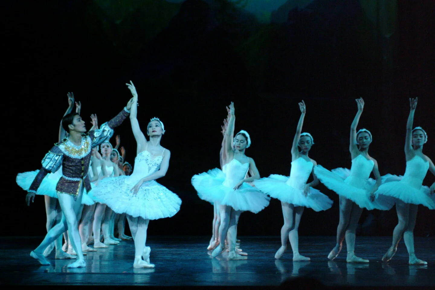 Swan Lake: A failure takes flight