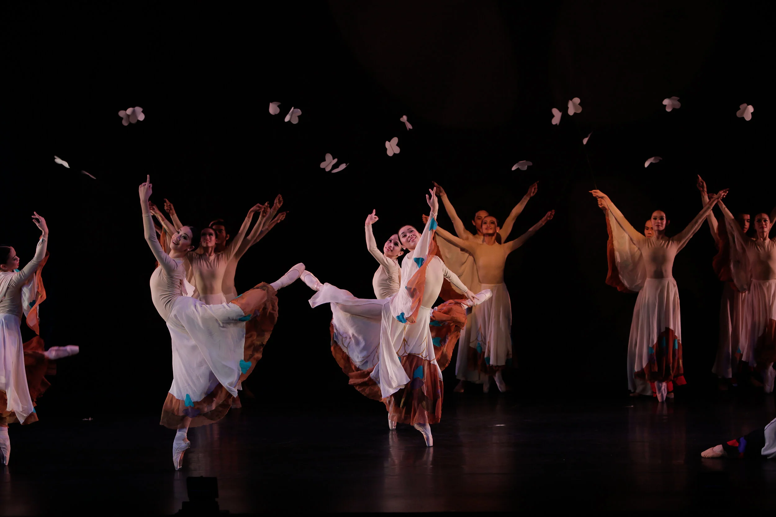 Spinning ballets about spiders and other intriguing creatures