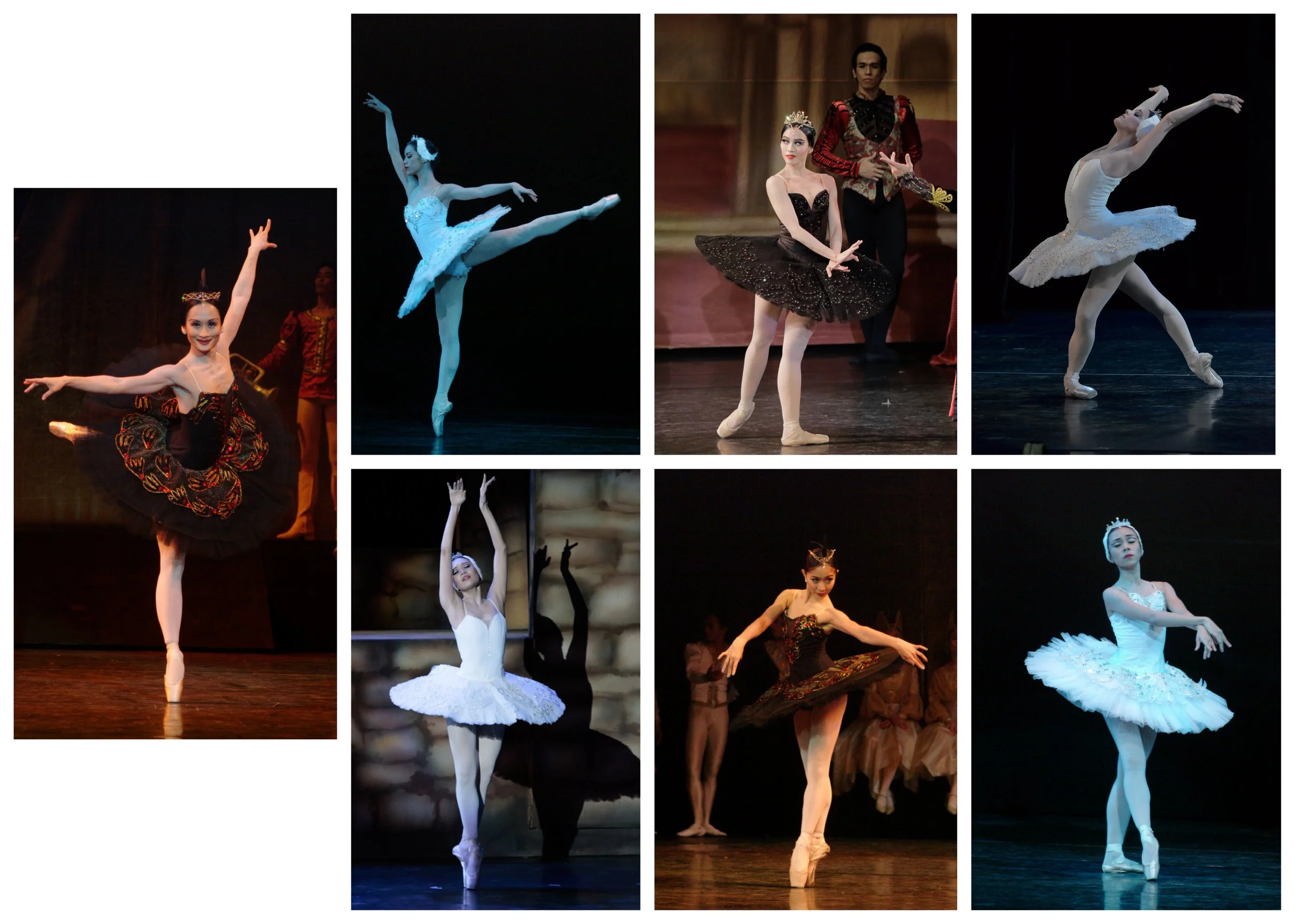 Swan Lake: Unlocking the mystery of Odette and Odile