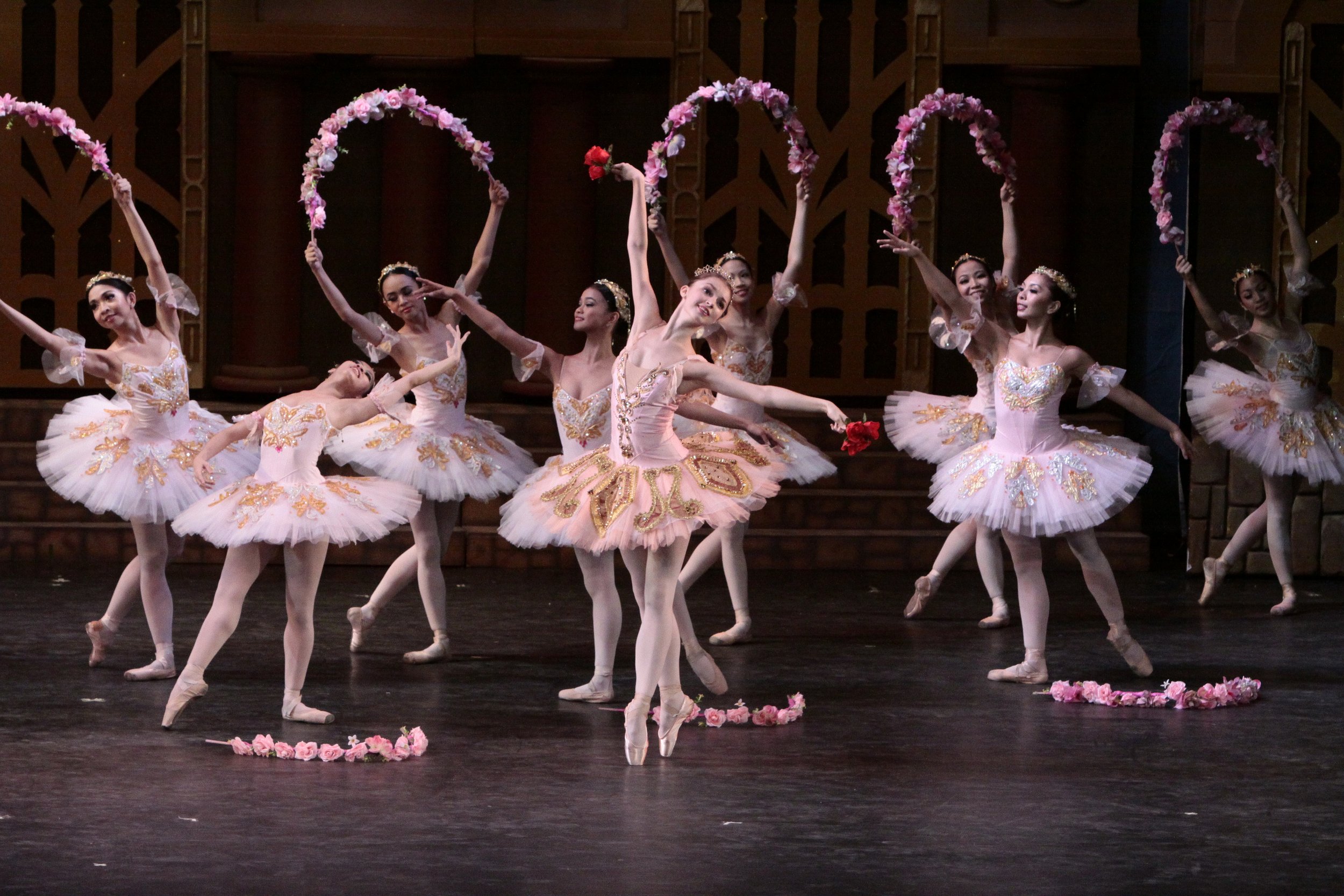    Russian ballerina Elena Chernova alternates in the role of Medora in this 2010 staging of the pirate adventure,  Le Corsaire  (2010). One of the most famous scenes in the ballet, the Living Garden lives up to its name with the ballerinas akin to d