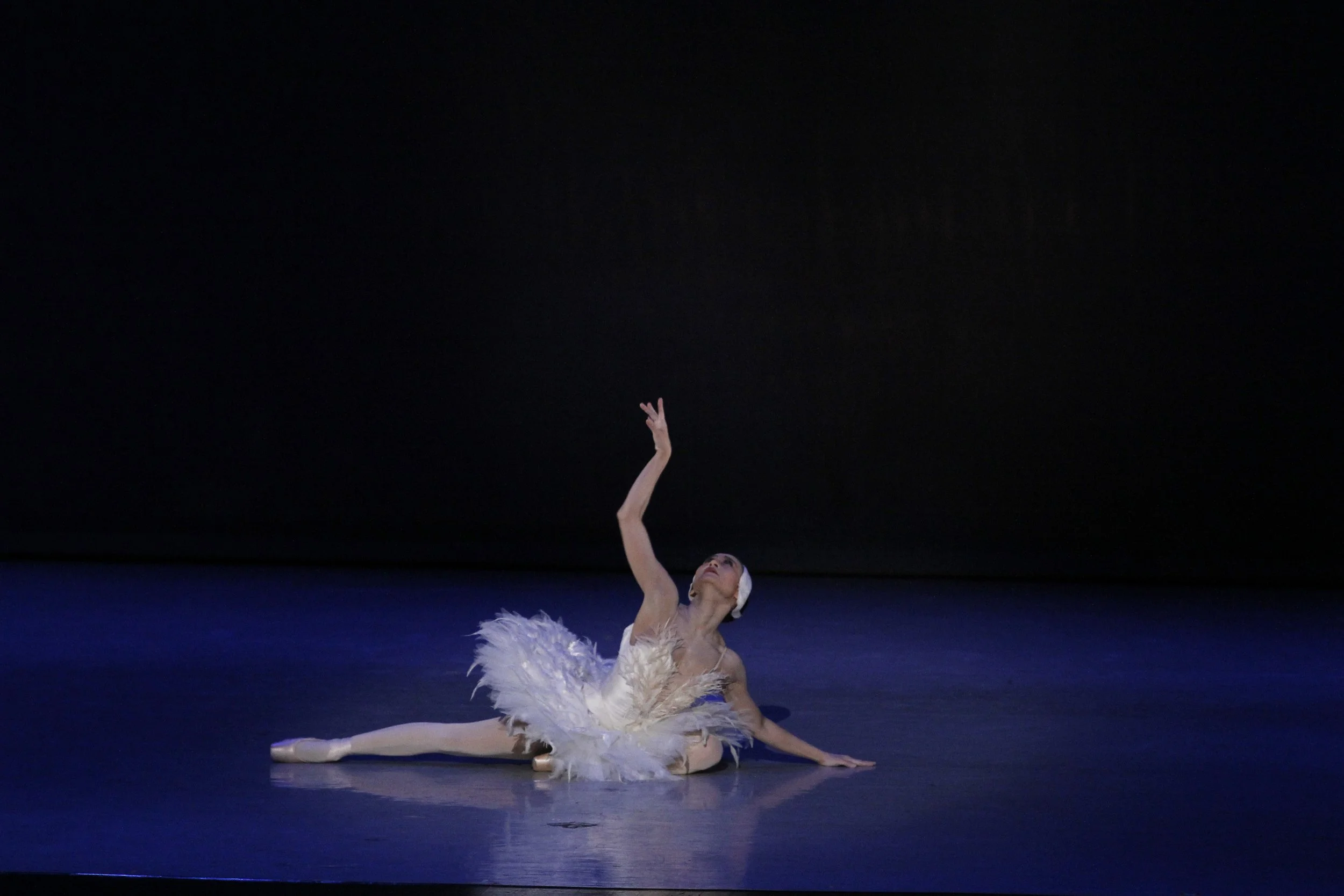 Ballet Manila in full color: Visions in white