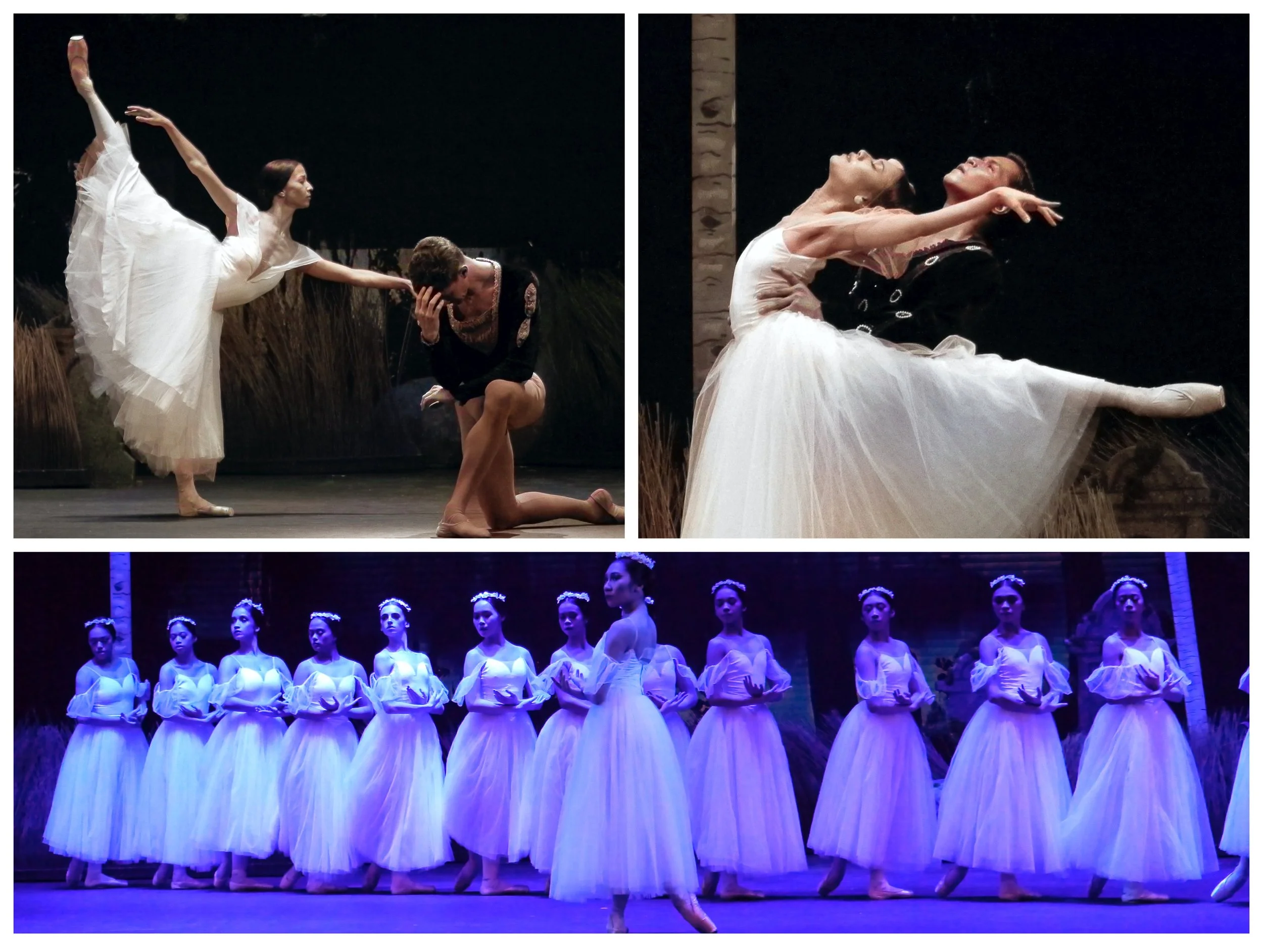 'Giselle' comes home
