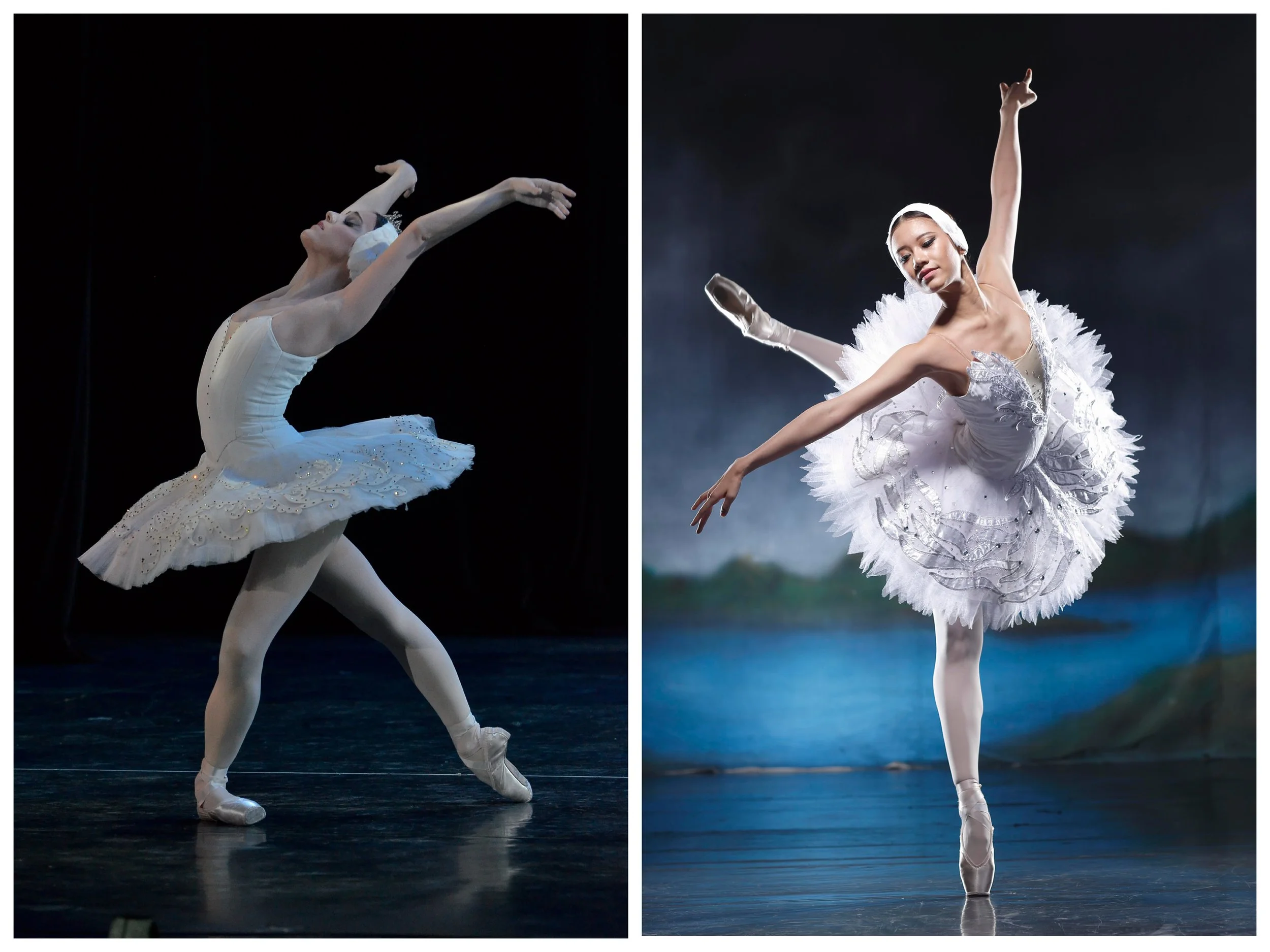 Return of the Swan Queens