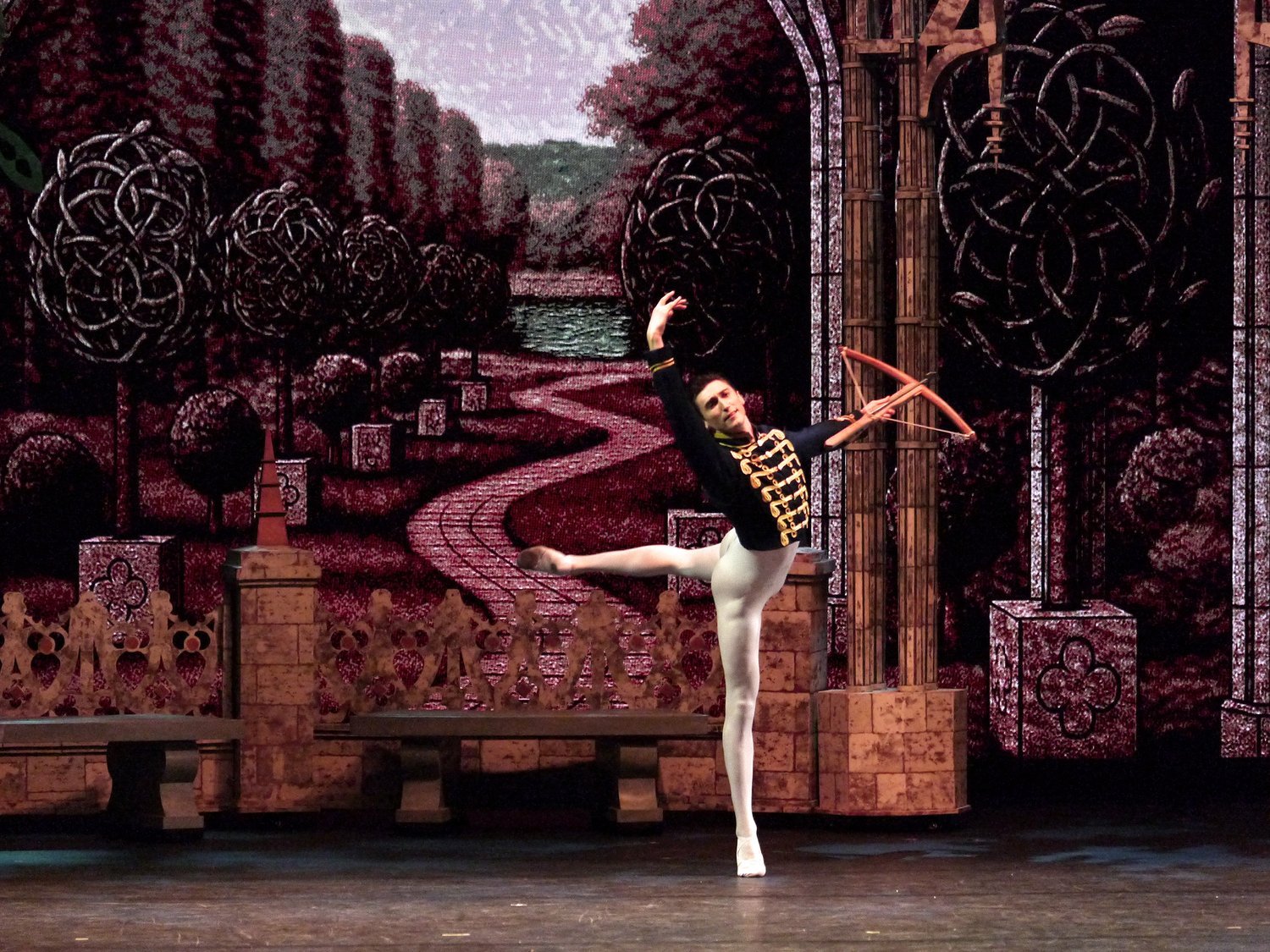Prince Siegfried (guest artist Nathaniel Remez) answers the call of the great outdoors in Swan Lake. Having just been gifted with a bow by his mother, he excitedly goes on a hunt, not knowing that his life is about to change as he will meet Odet