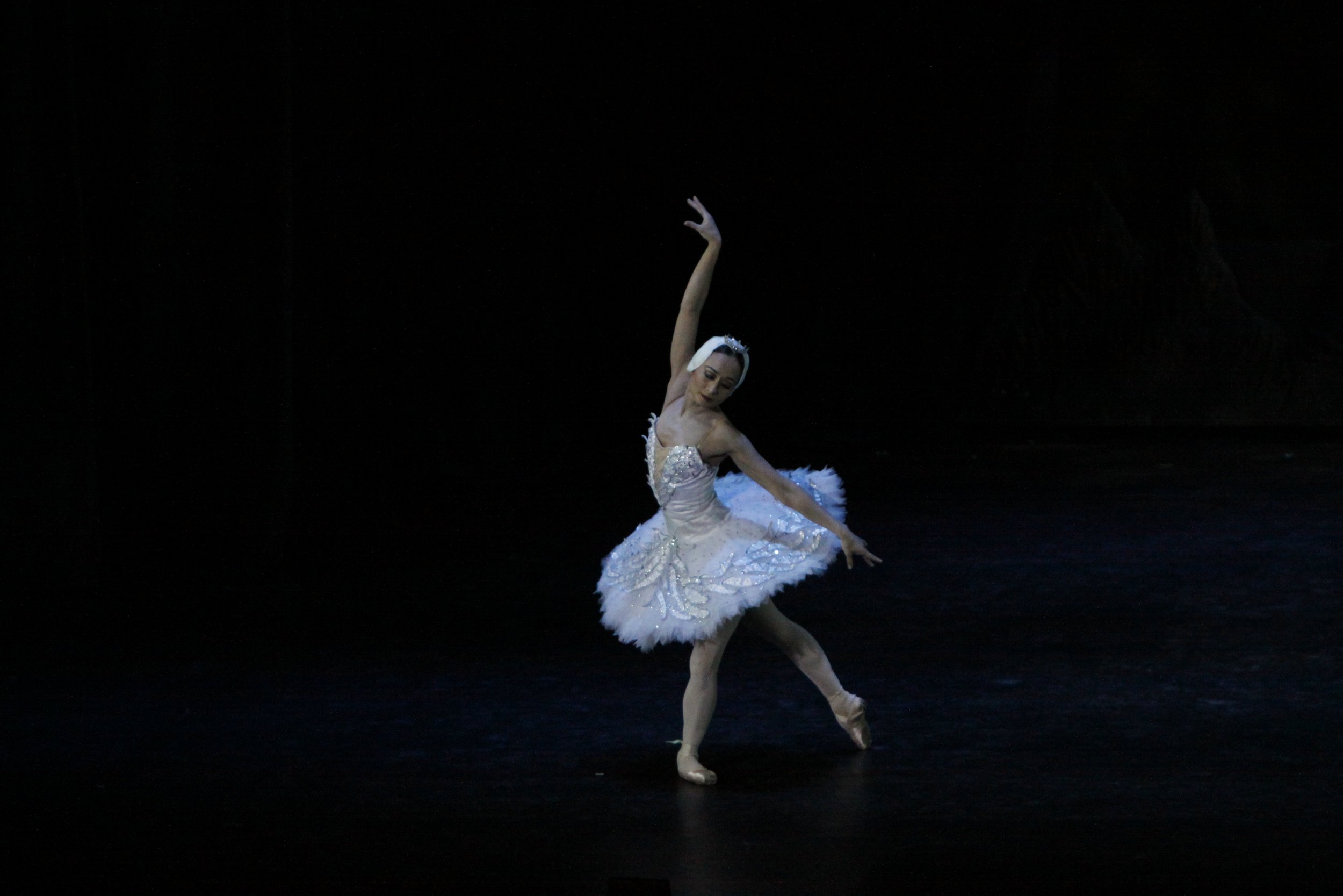    She moves every inch the swan, but Odette (Lisa Macuja Elizalde) is actually a princess under the spell of the wicked sorcerer Von Rothbart in the ballet classic  Swan Lake  (2011). Chancing upon her one night as she changes back to human form, Pr