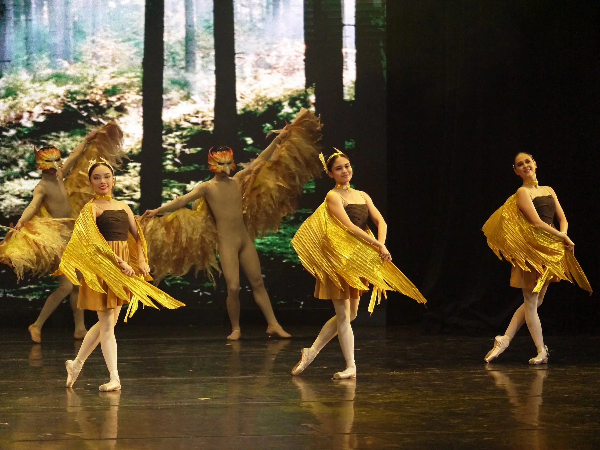 Winging it: When birds and ballet make the perfect pair