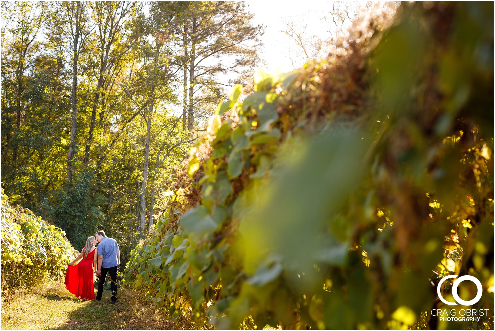 sunflowers fields north georgia engagement portraits wine vineyard_0012.jpg