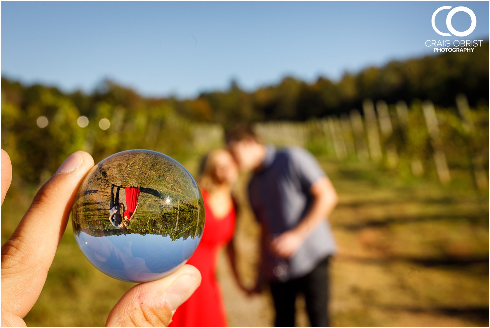 sunflowers fields north georgia engagement portraits wine vineyard_0015.jpg