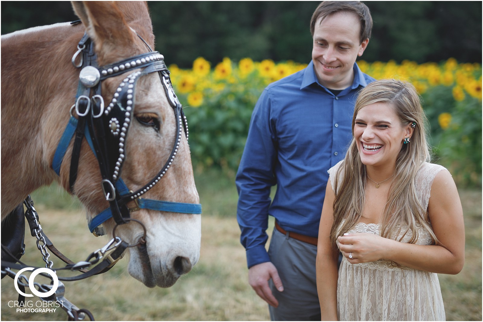 sunflowers fields north georgia engagement portraits wine vineyard_0039.jpg