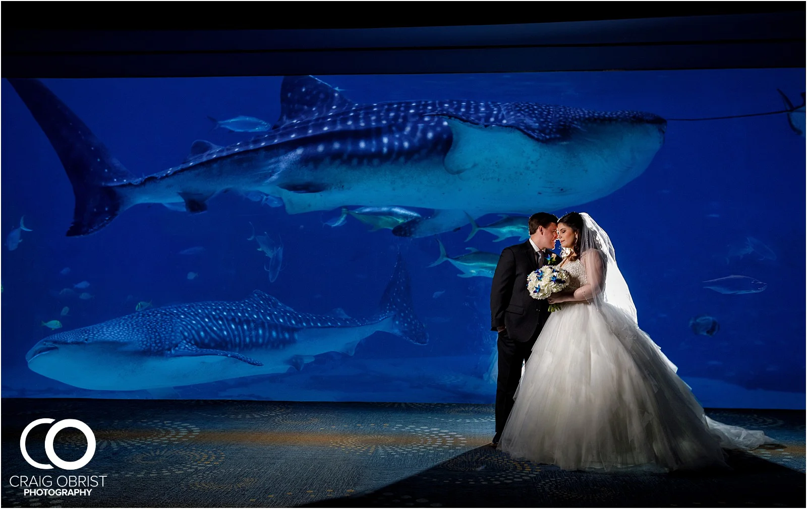 Georgia Aquarium Wedding Portraits Whale_0016.jpg