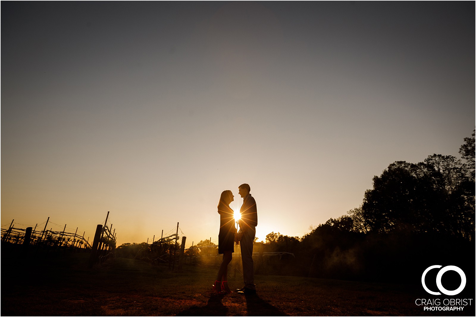 Montaluce Winery Vinyard Engagement Portraits_0032.jpg